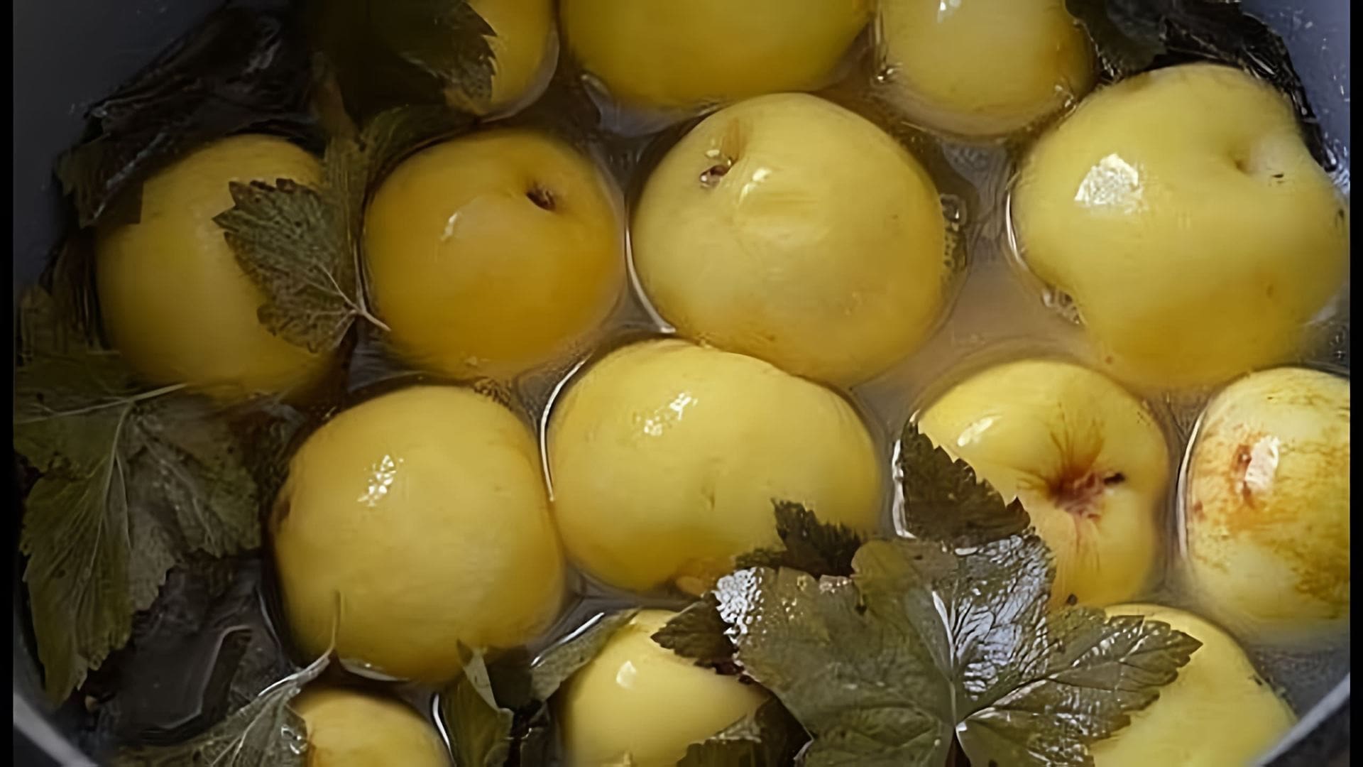 В этом видео демонстрируется рецепт моченых яблок с мятой и медом