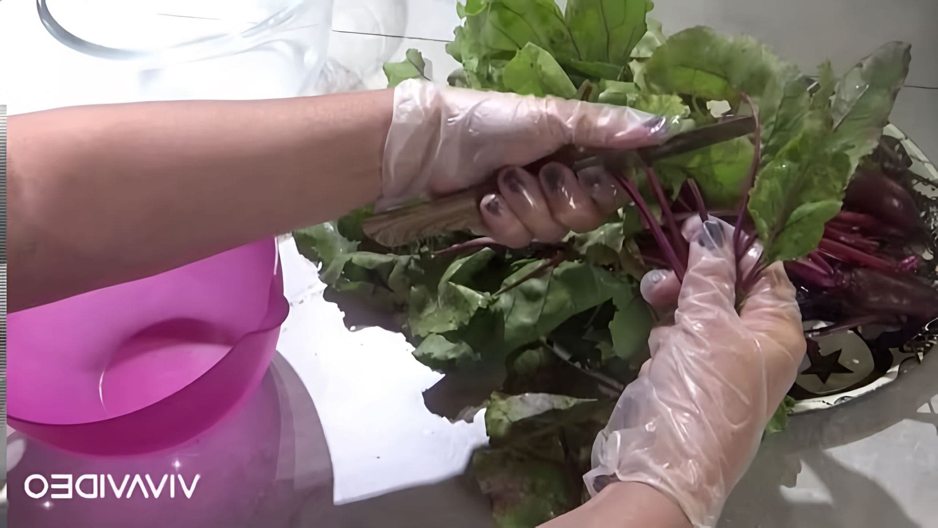 Видео демонстрирует два рецепта приготовления листьев свёклы - маринованных листьев свёклы и омлета с листьями свёклы