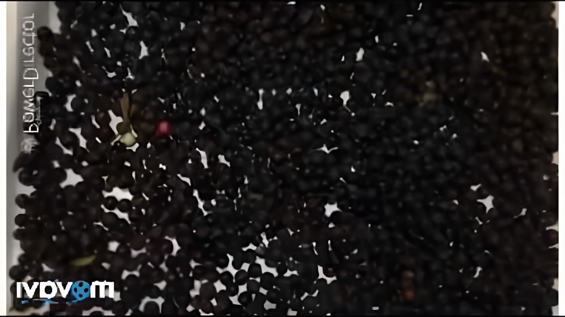 В этом видео демонстрируется второй способ заморозки черники на зиму