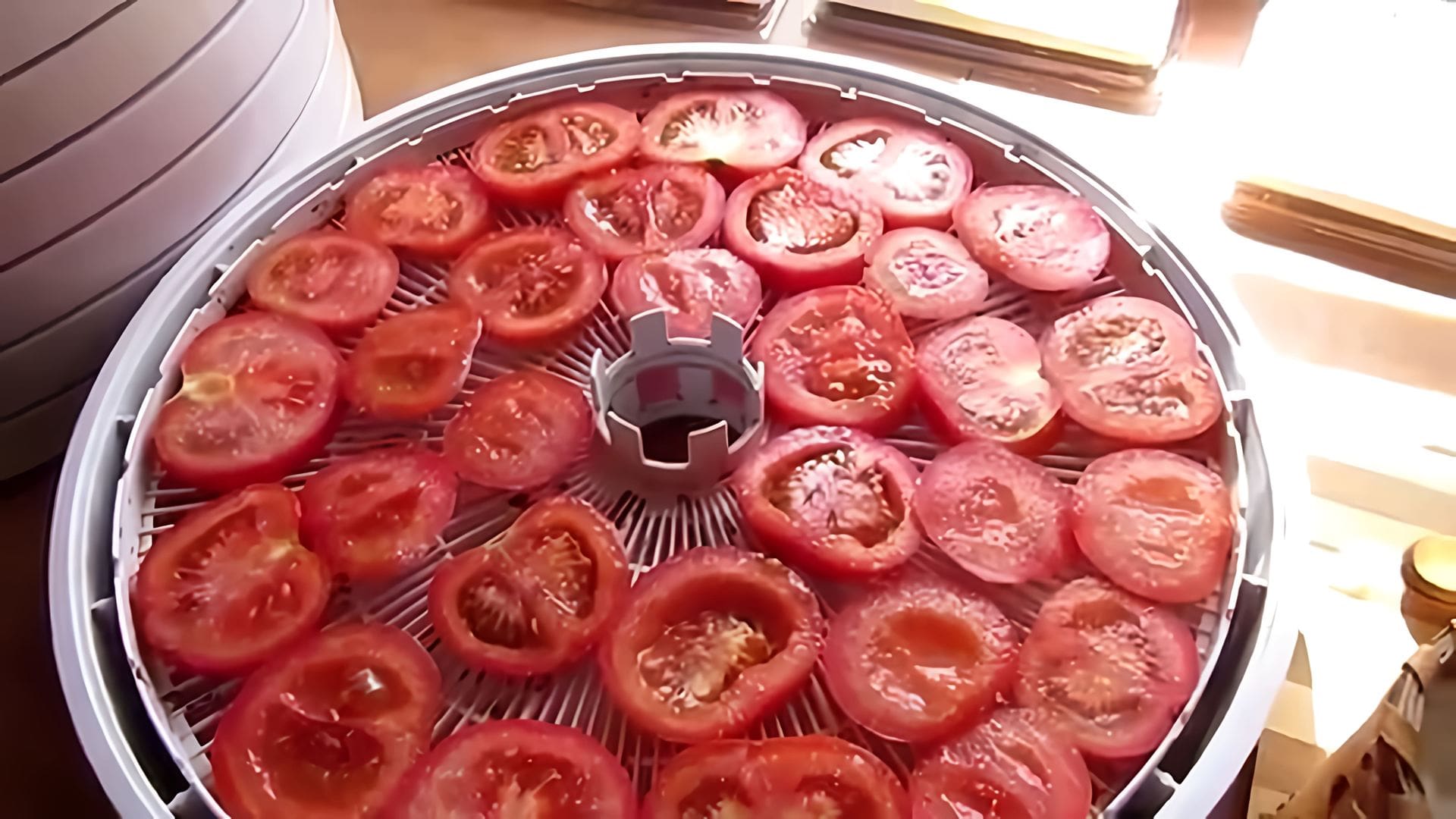 Вяленые помидоры в электросушилке. Помидоры в сушилке для овощей. Помидоры в электросушилке. Помидоры в сушилке для овощей. Прибор для вяления помидоров.