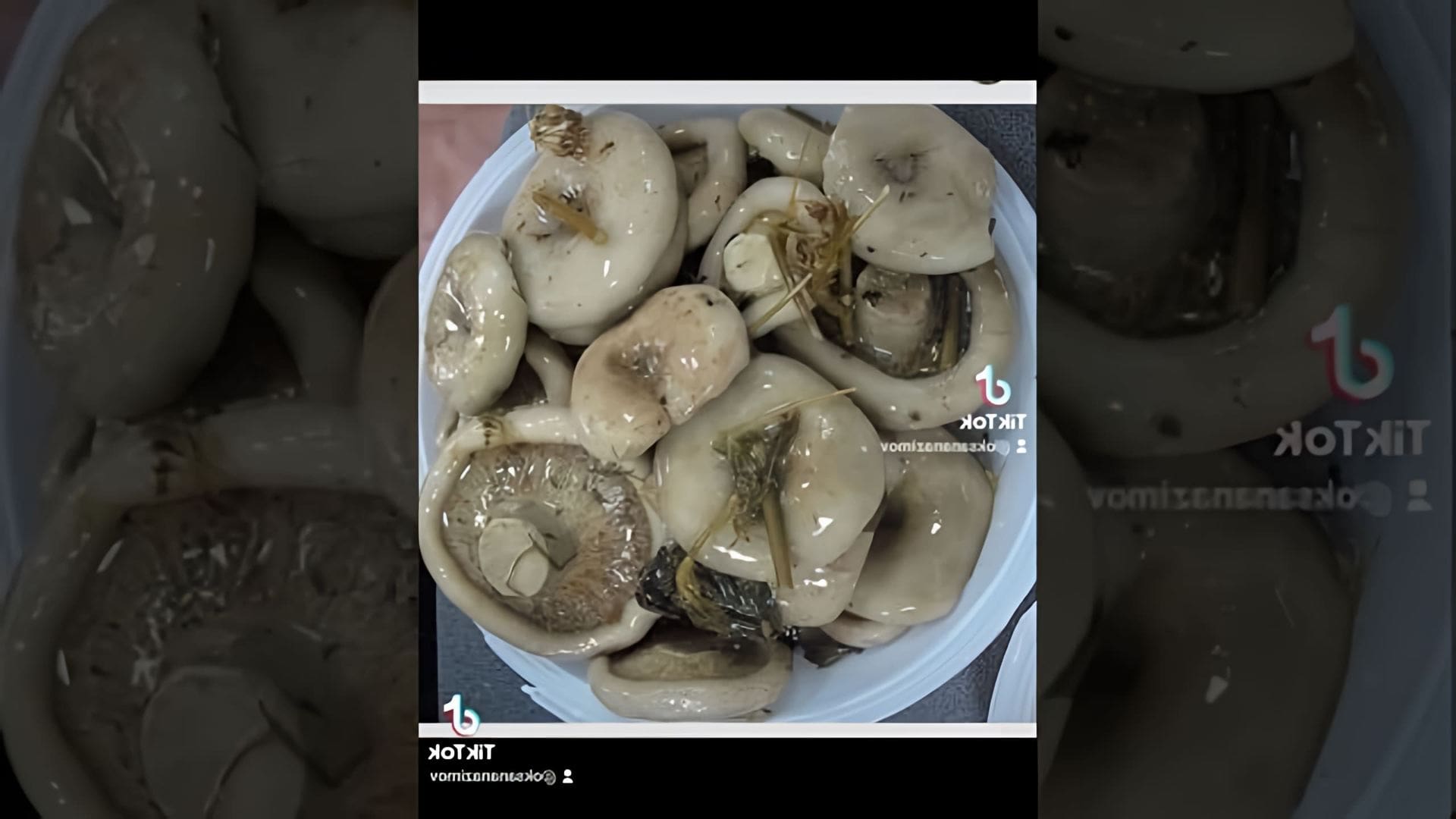 В этом видео-ролике будет показан рецепт приготовления груздей соленых по-алтайски