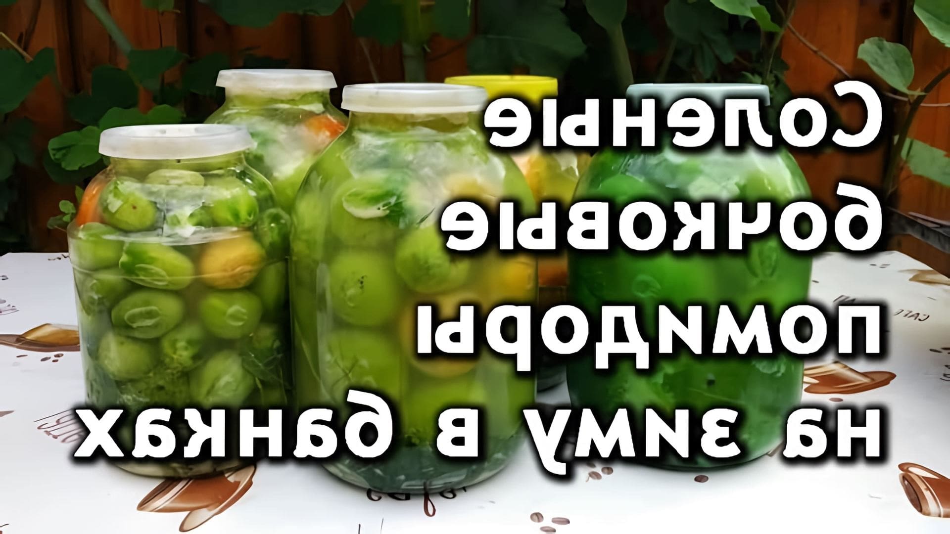 Как солить зеленые помидоры в ведре