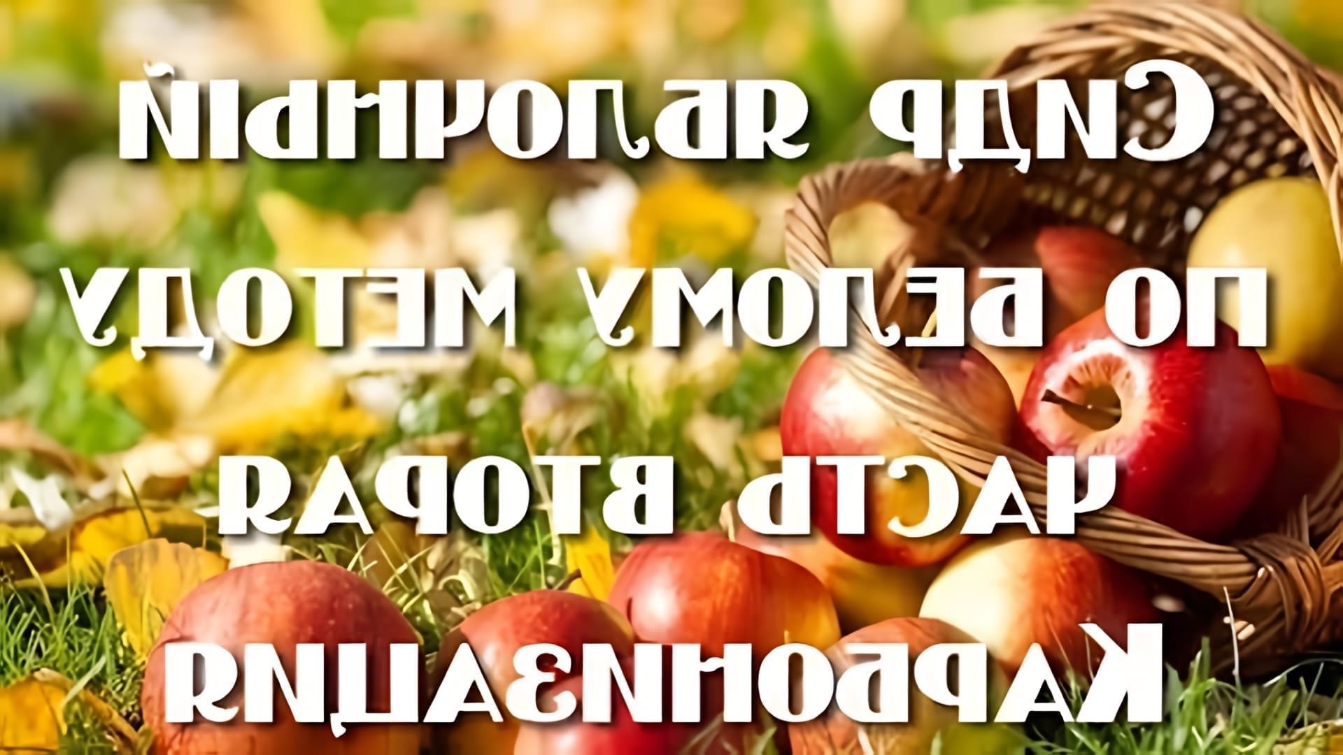 В данном видео рассказывается о приготовлении домашнего яблочного сидра