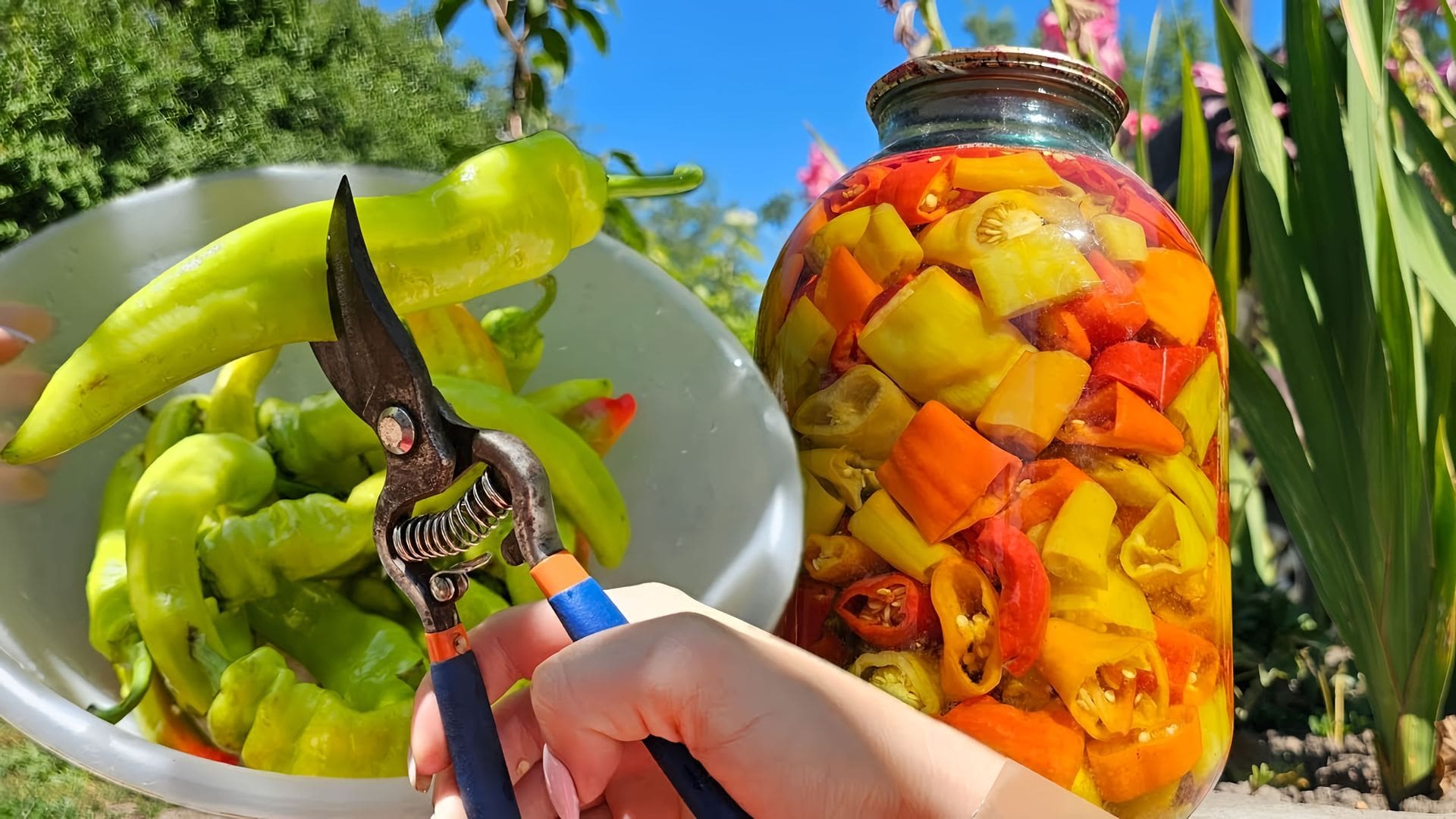 Маринованный горький перец рецепт