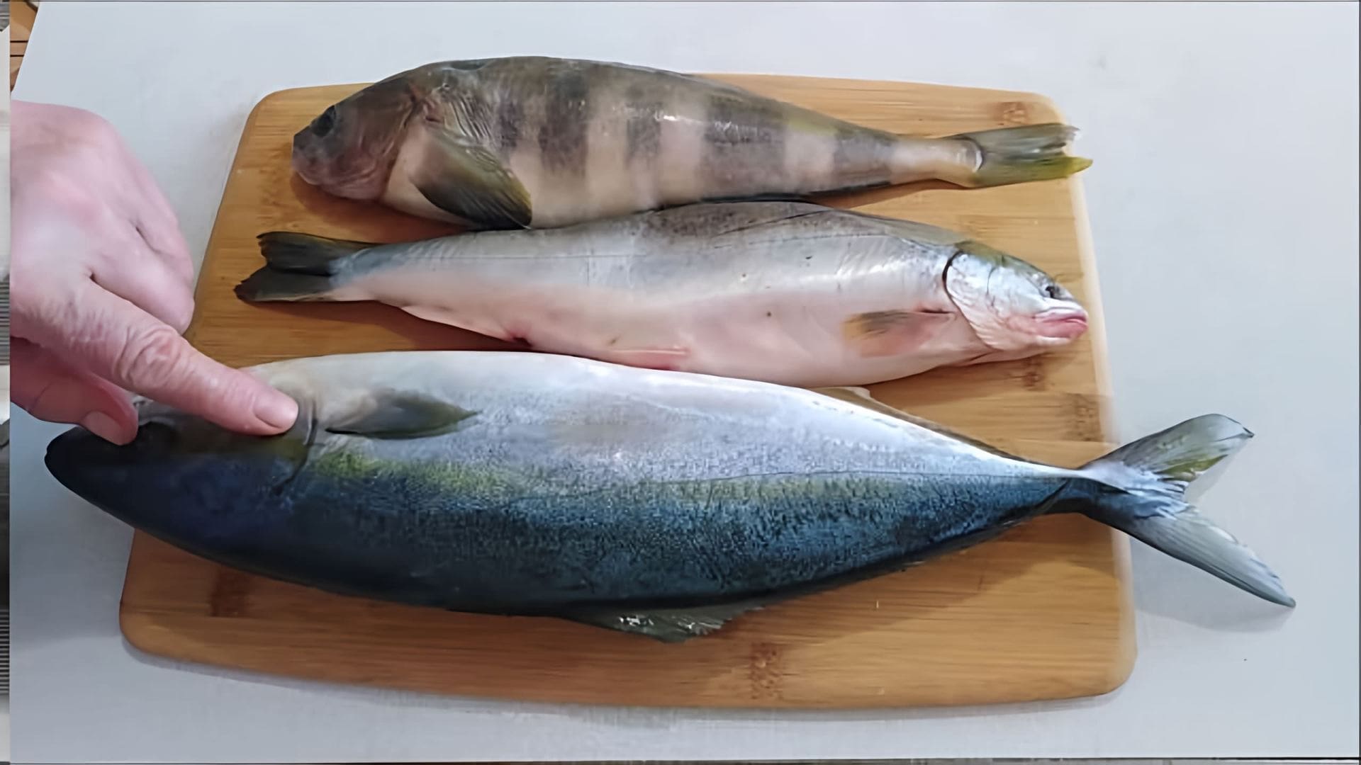 В этом видео Надежда готовит рыбные котлеты из рыбы лакедра