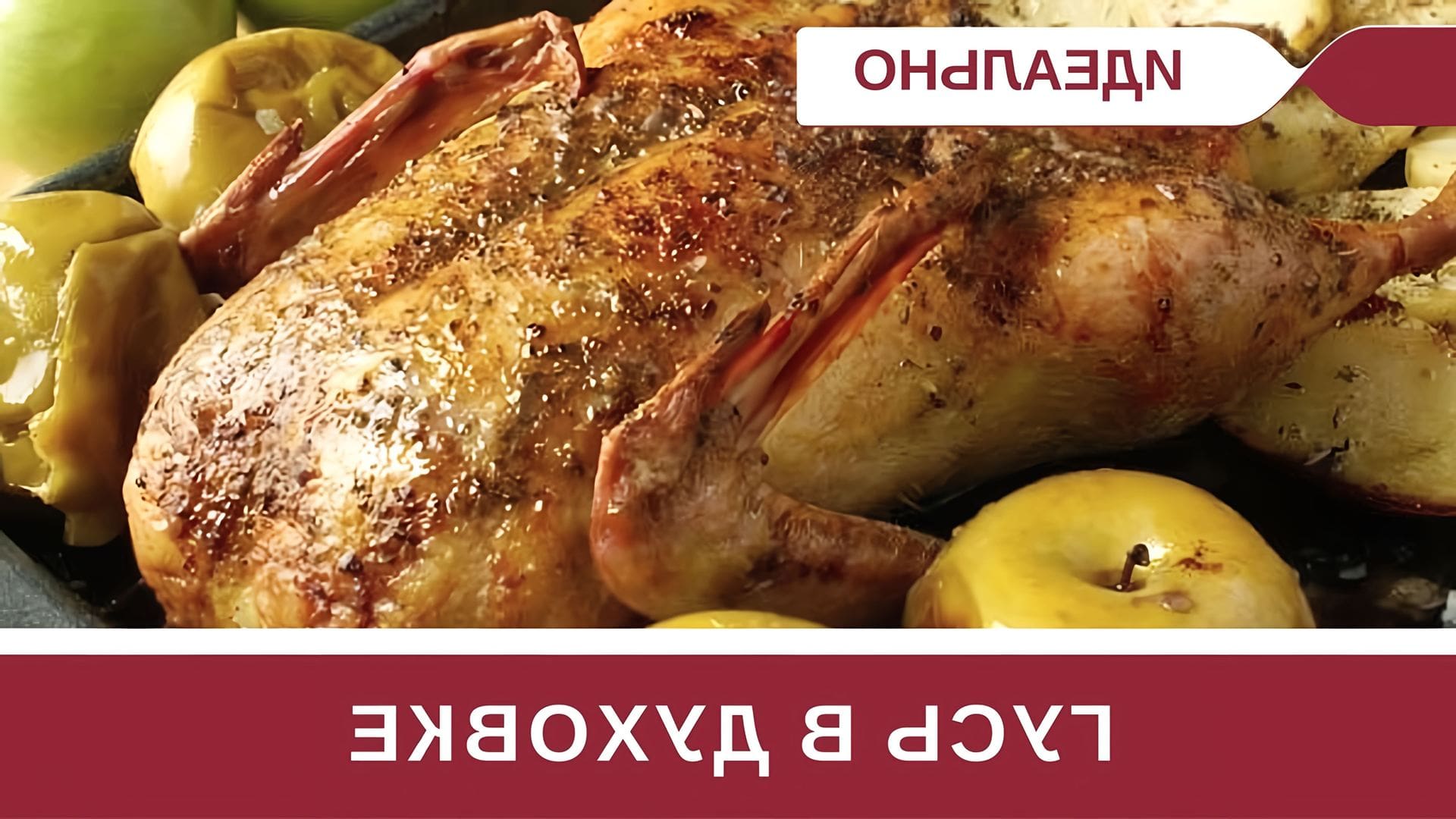 Гусь запеченный в духовке. Гусь с картошкой в духовке. Гусь жареный в духовке. Мясо гуся в духовке. Рецепт для запекания гуся.