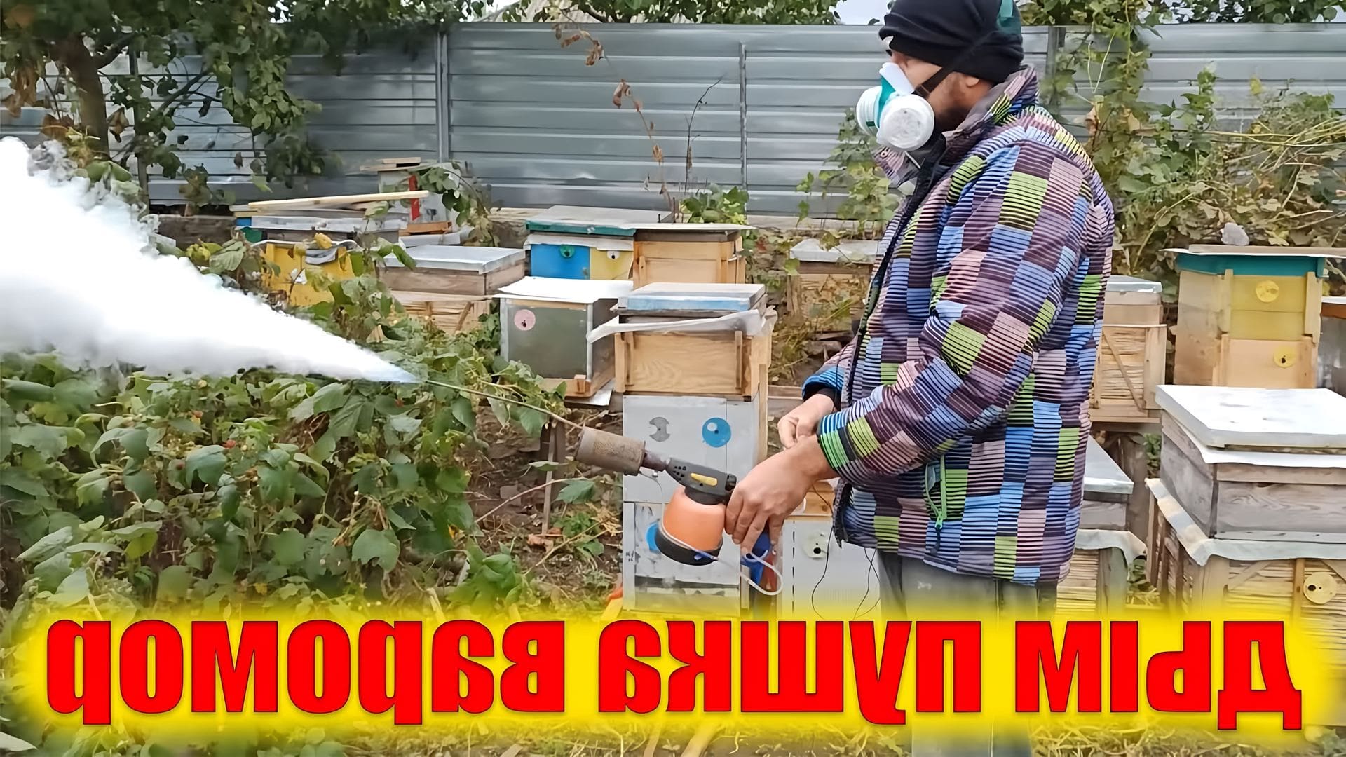 Обработка пчел от клеща осенью дым пушкой. Обработка пчел дым пушкой бипин. Окуривание щавелевой кислотой. Обработка пчел от клеща осенью дым пушкой. Обработка пчел дым пушкой осенью.