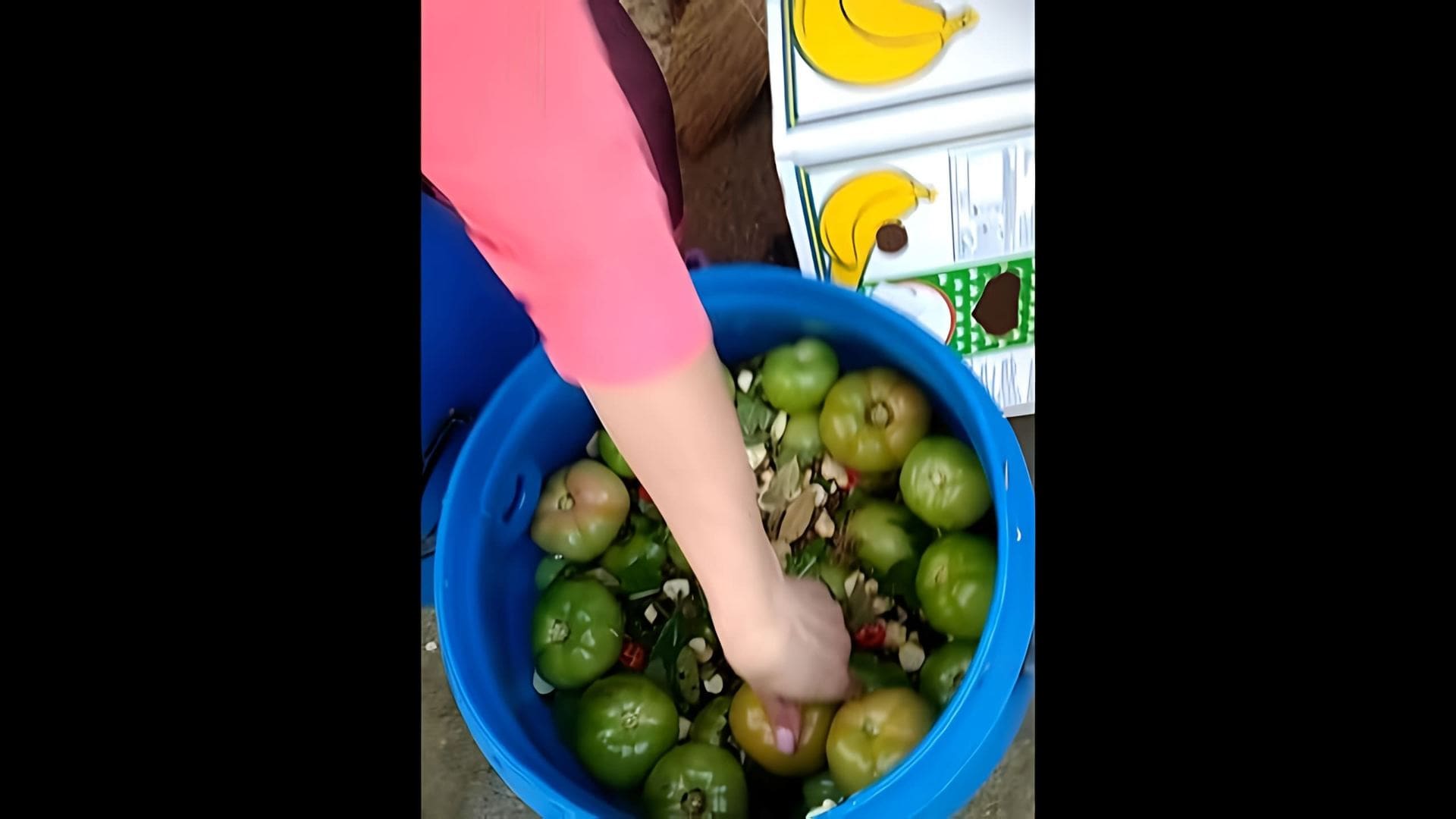 В данном видео демонстрируется процесс приготовления бочковых зеленых помидоров на зиму