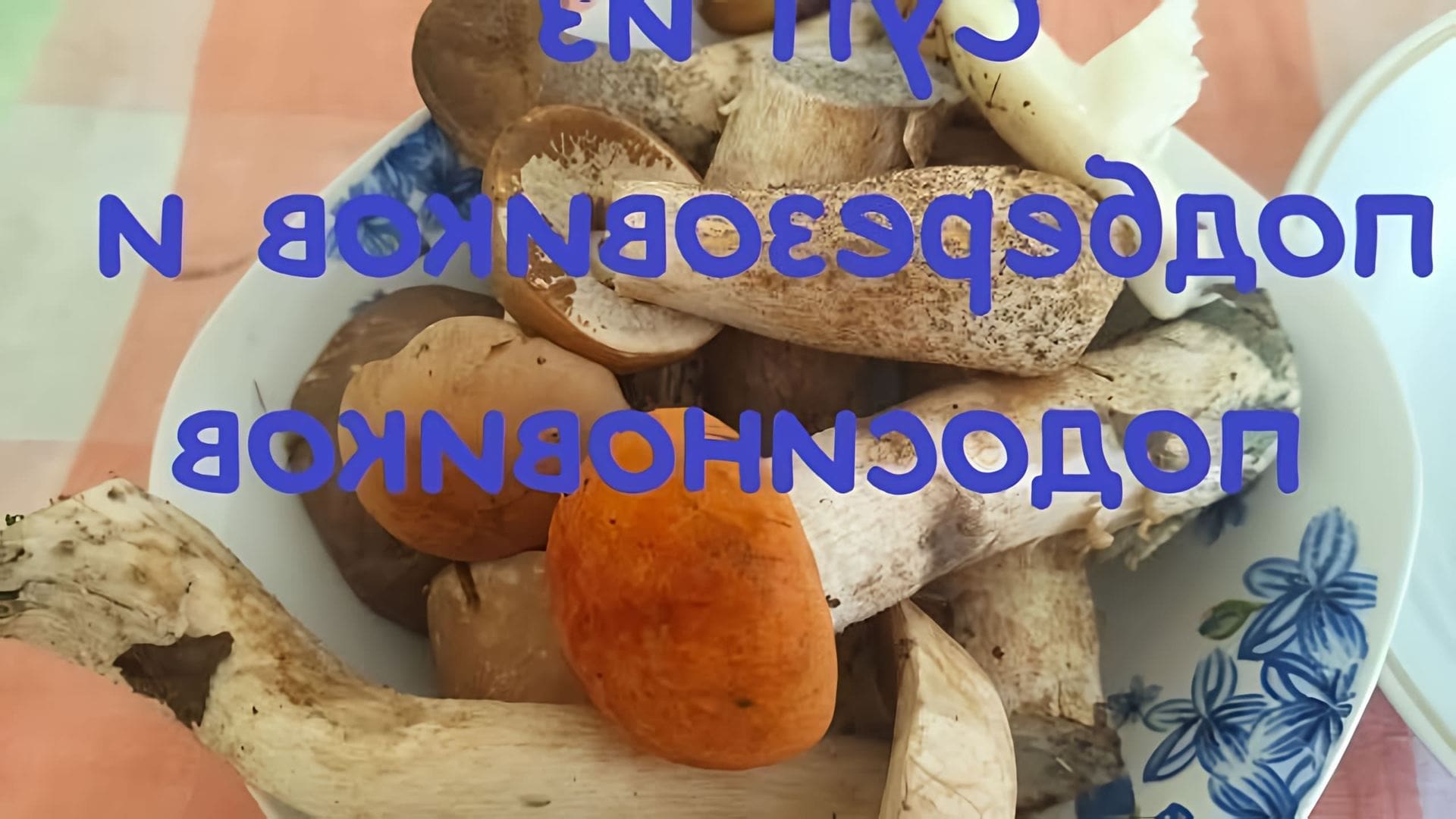 В этом видео демонстрируется простой и надежный рецепт грибного супа из подберезовиков и других грибов