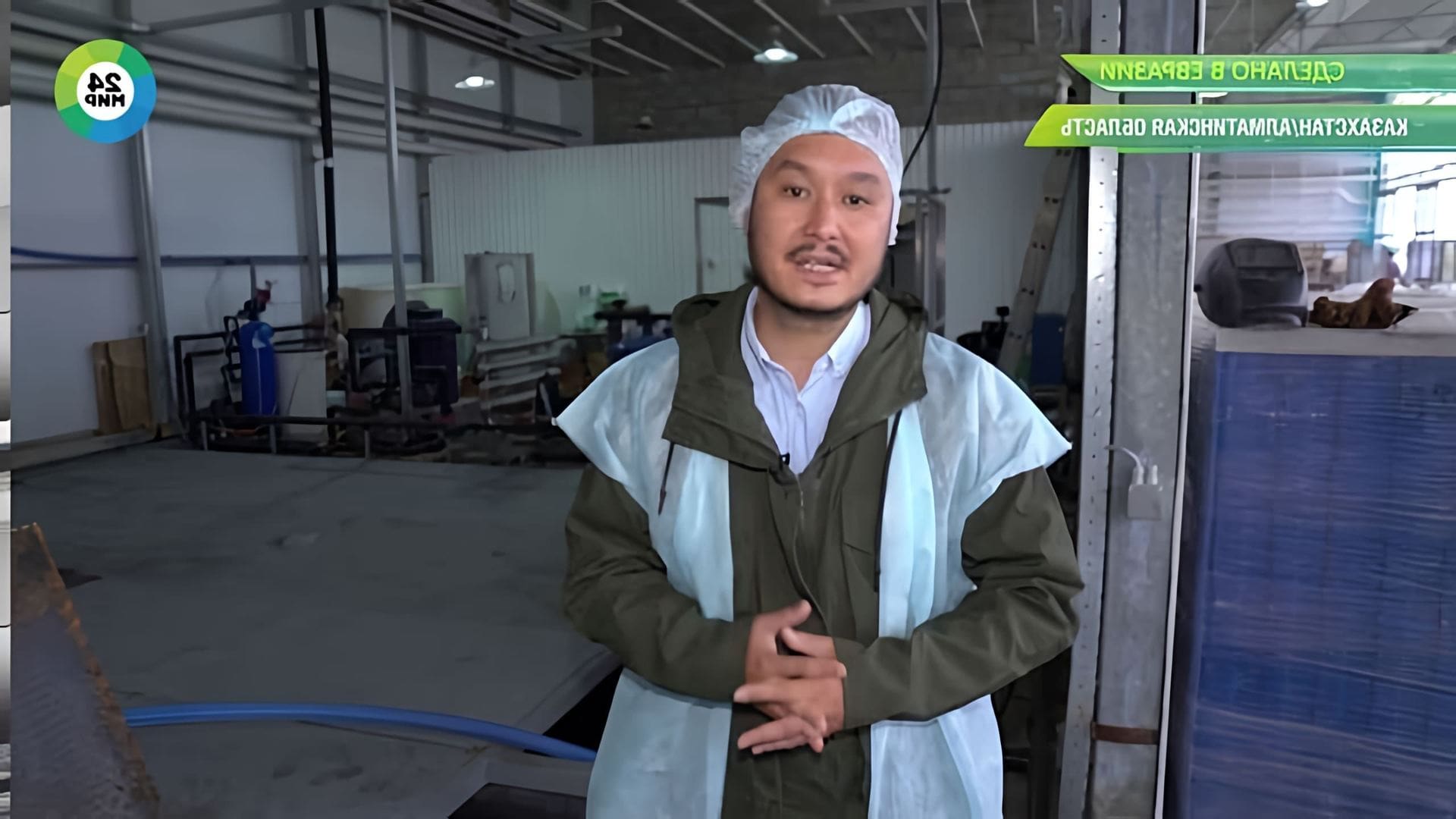 В этом видео рассказывается о производстве зелени в горшочках в Казахстане
