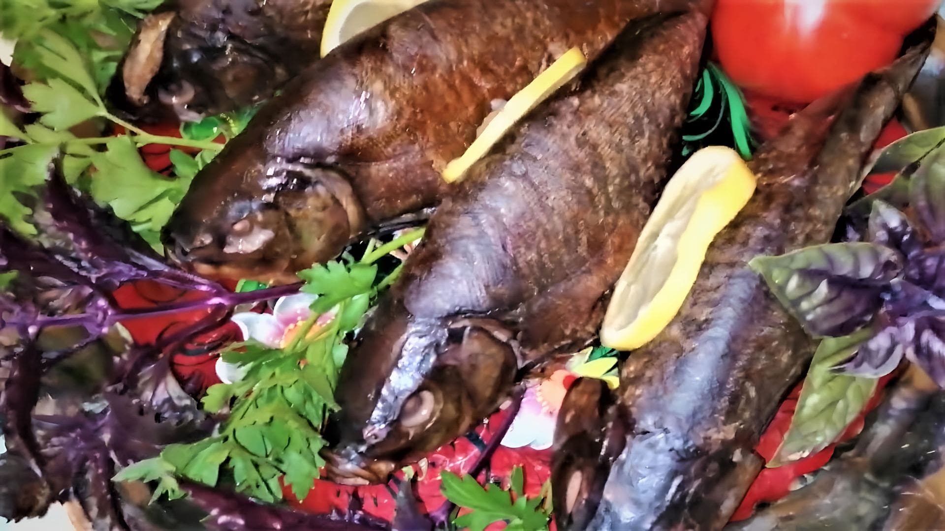 Копчение рыбы в коптильне. Как выглядит копчёный линь. Линь рыба горячего копчения. Терпуг холодного копчения. Линь мясо.