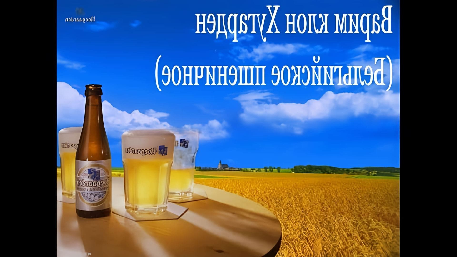 Варим Хугарден - пшеничное пиво на IBREW 40 - Рецепт, история, дегустация. 
