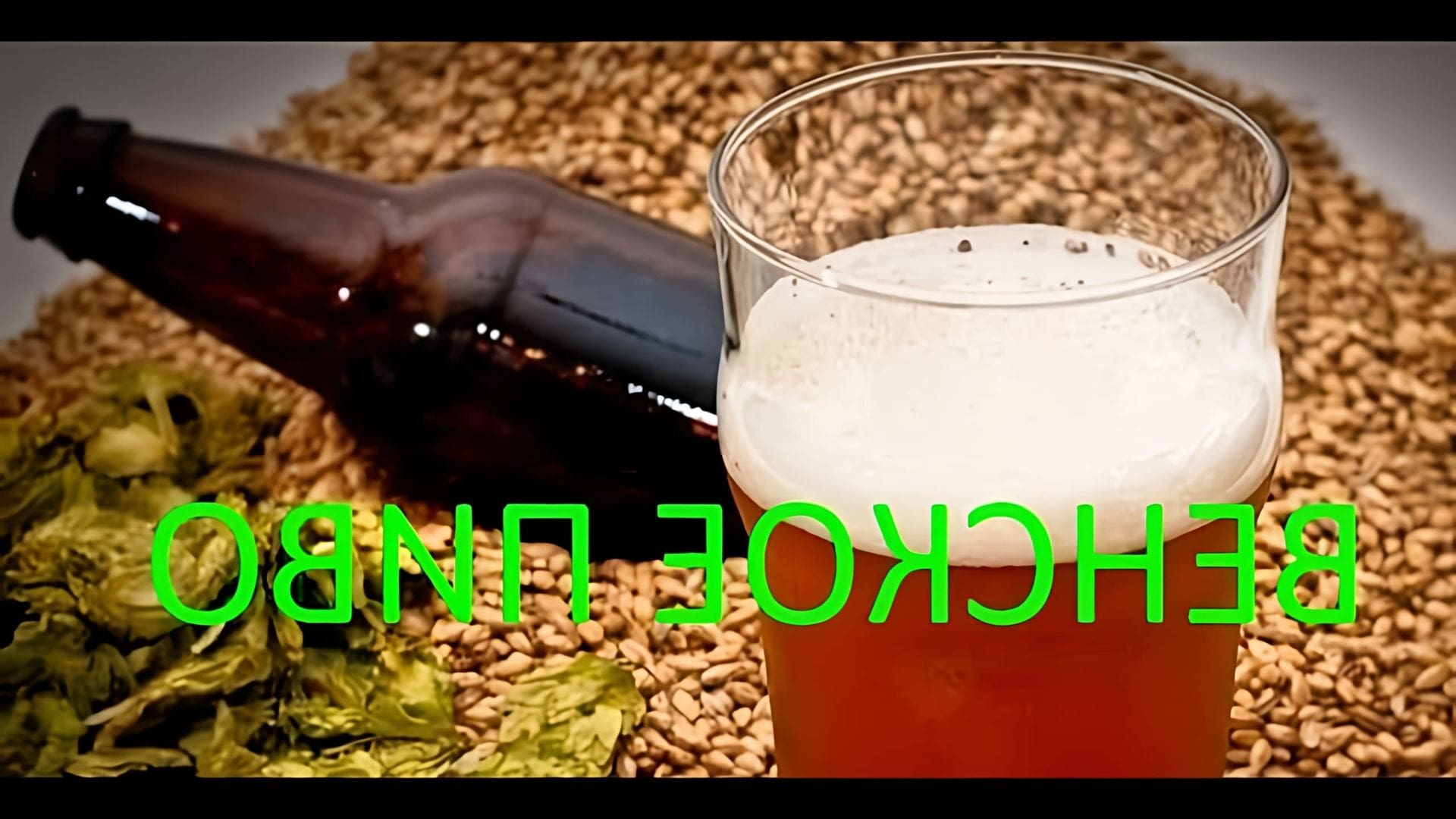 В данном видео демонстрируется процесс приготовления венского пива (эля) в домашних условиях