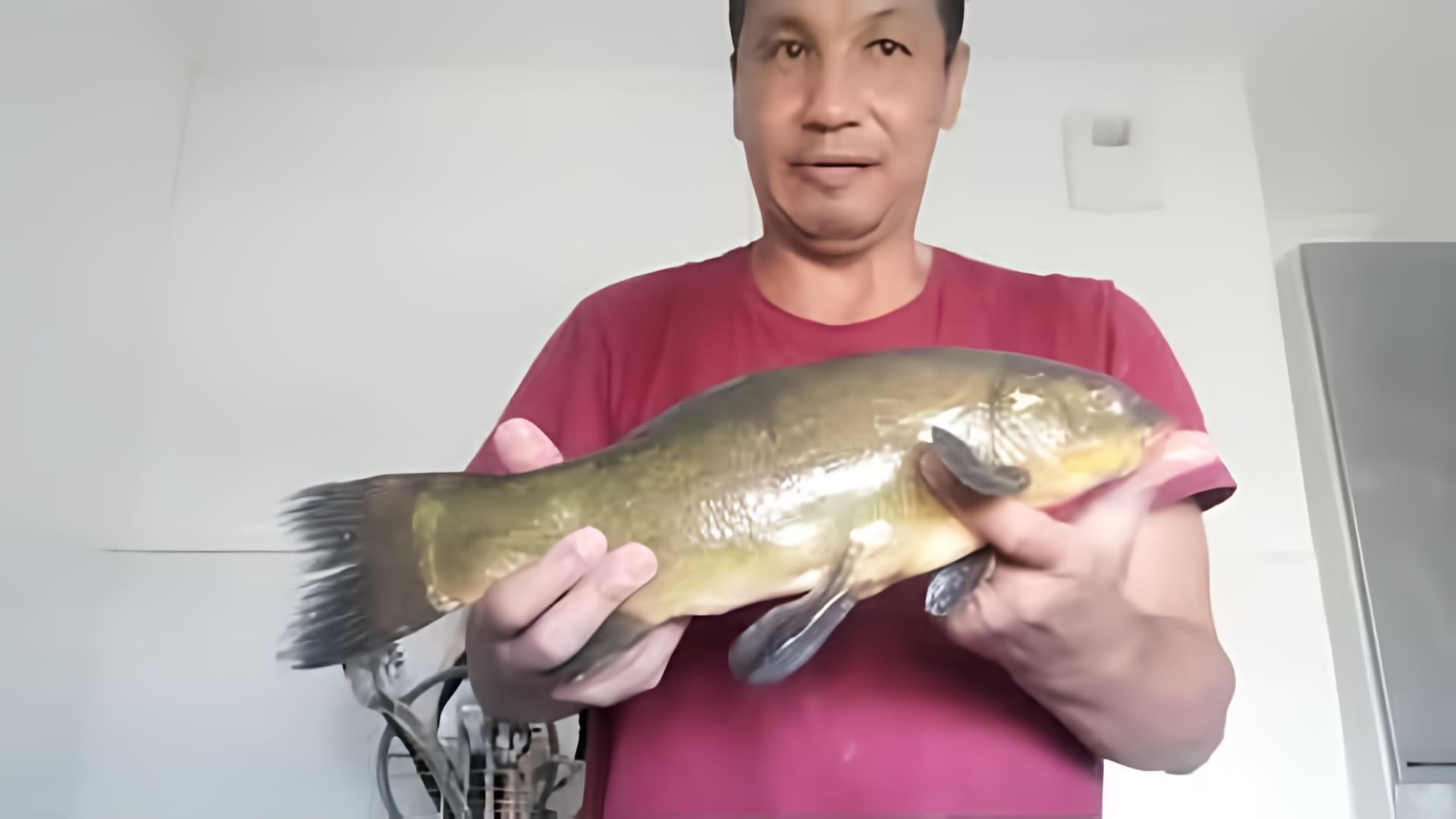 В этом видео рассказывается о двух способах приготовления рыбы линя