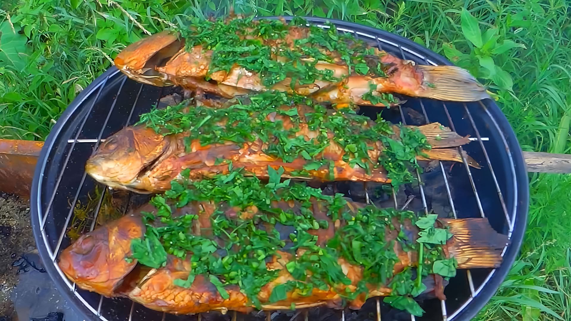 Жареный карась на природе. Рыба на костре. Рыба на костре на решетке. Мангал рыба. Рыба на костре на решетке.