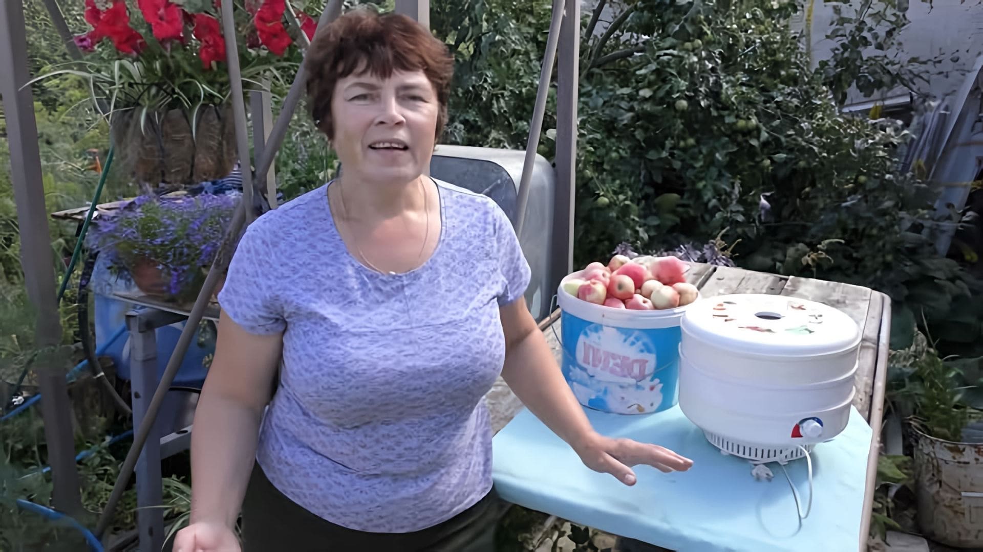 В этом видео демонстрируется процесс приготовления пастилы из яблок в электросушилке