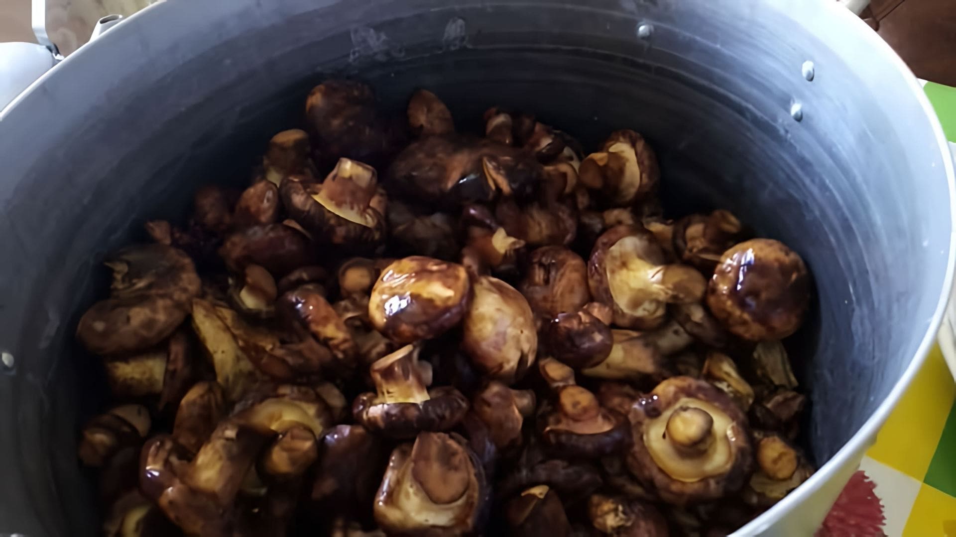 Видео: # Засолка грибов - свинухи. 