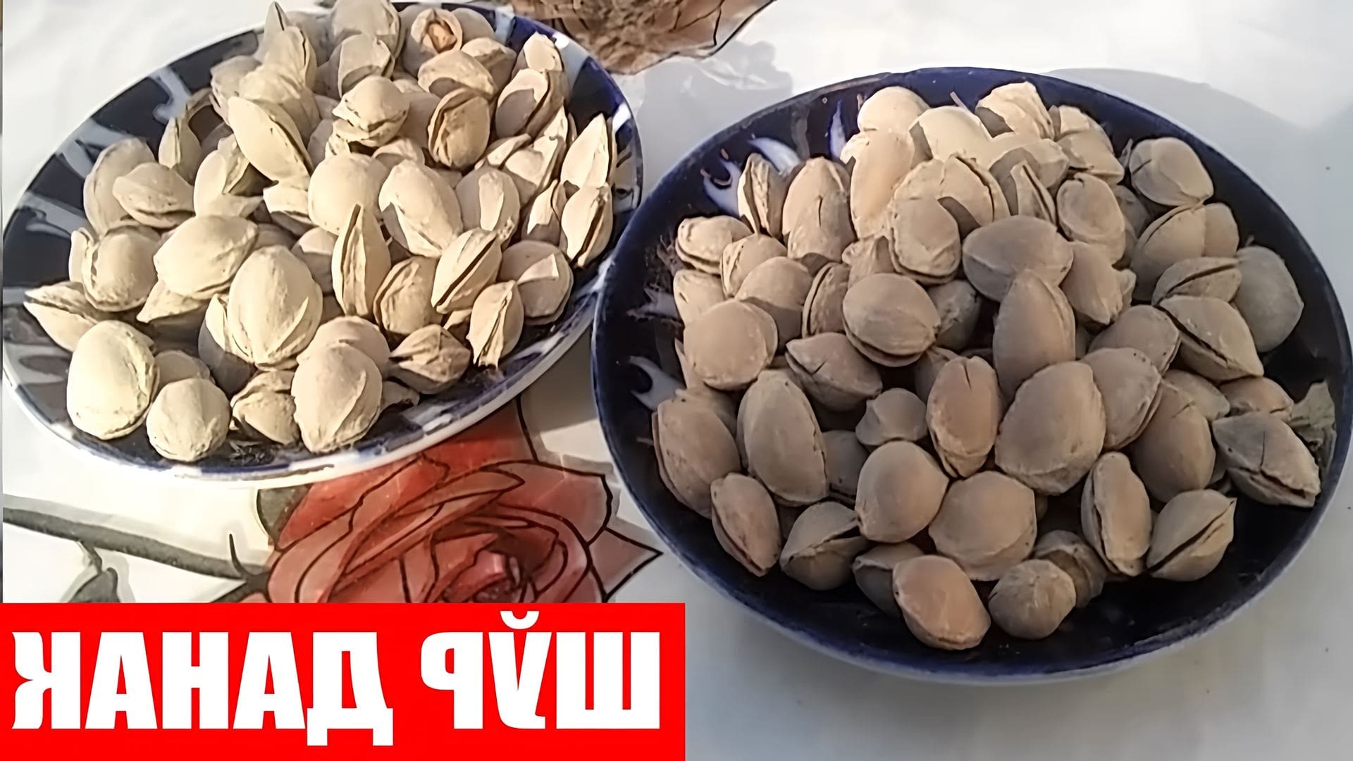 Kokraklarini va kokraklarini opdi Rus talabalari porno partiyalarini tomosha qiling