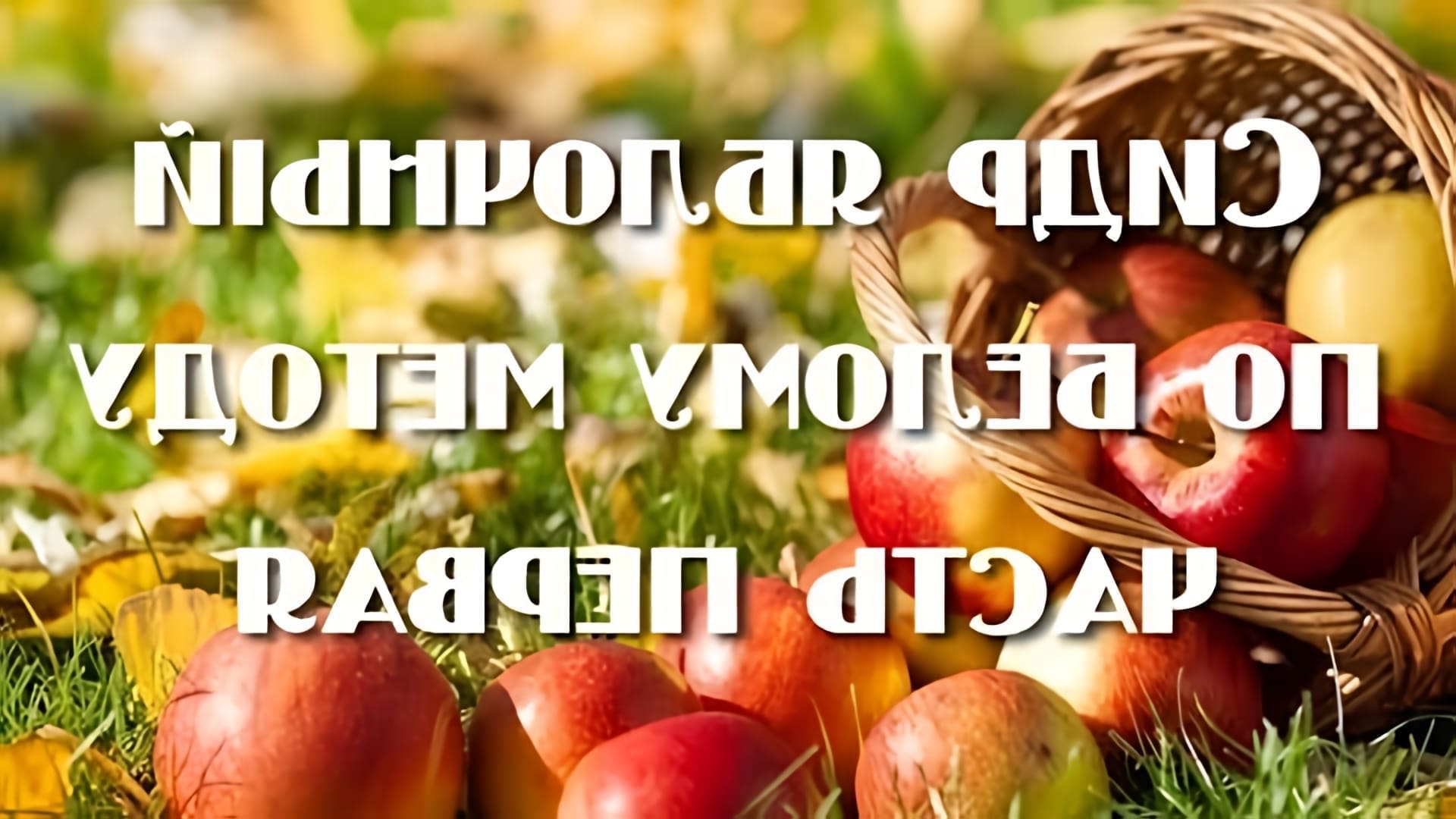 В этом видео-ролике будет показан процесс приготовления газированного домашнего сидра из яблок