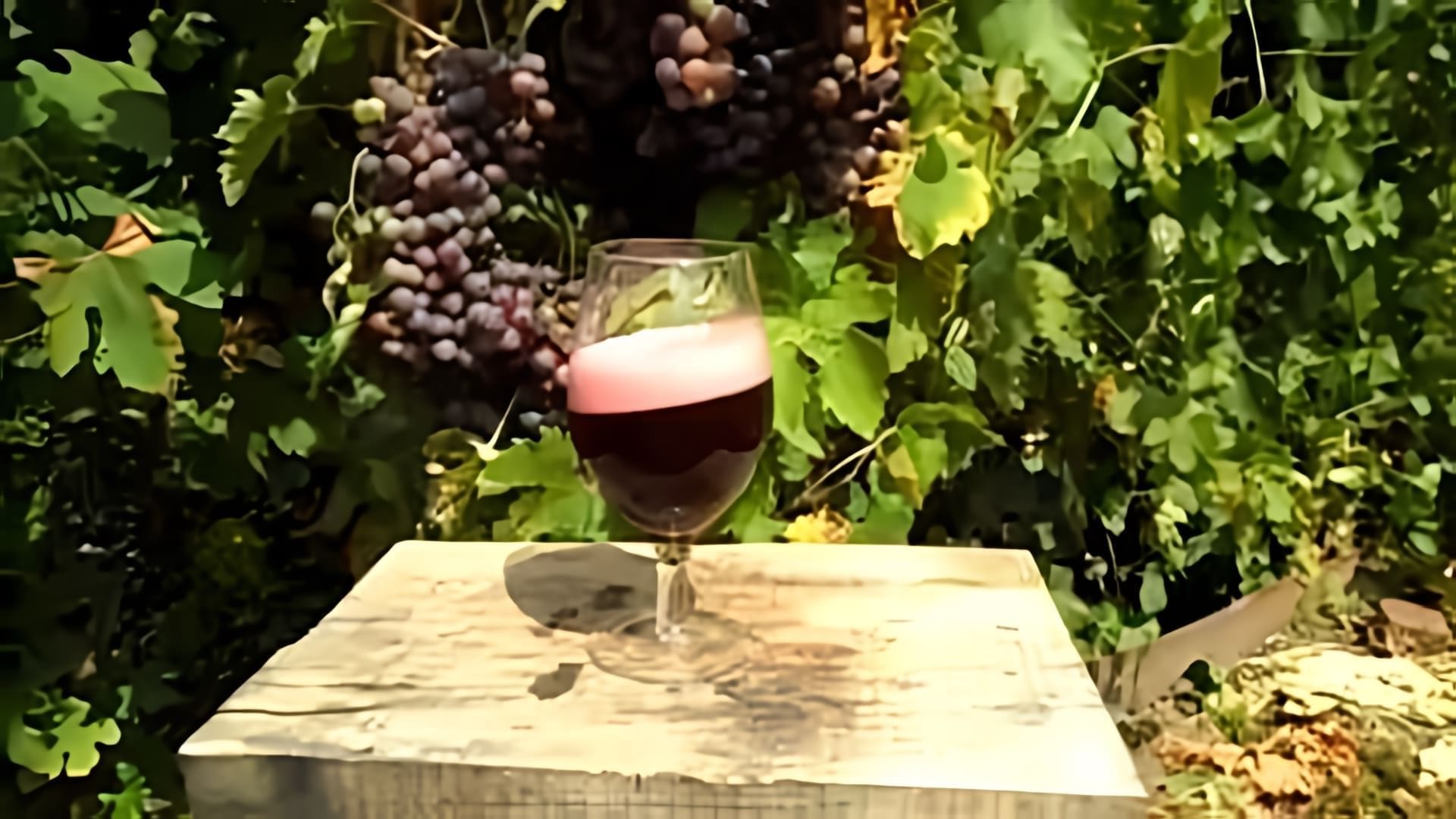В этом видео демонстрируется процесс изготовления самодельного вина из крыжовника