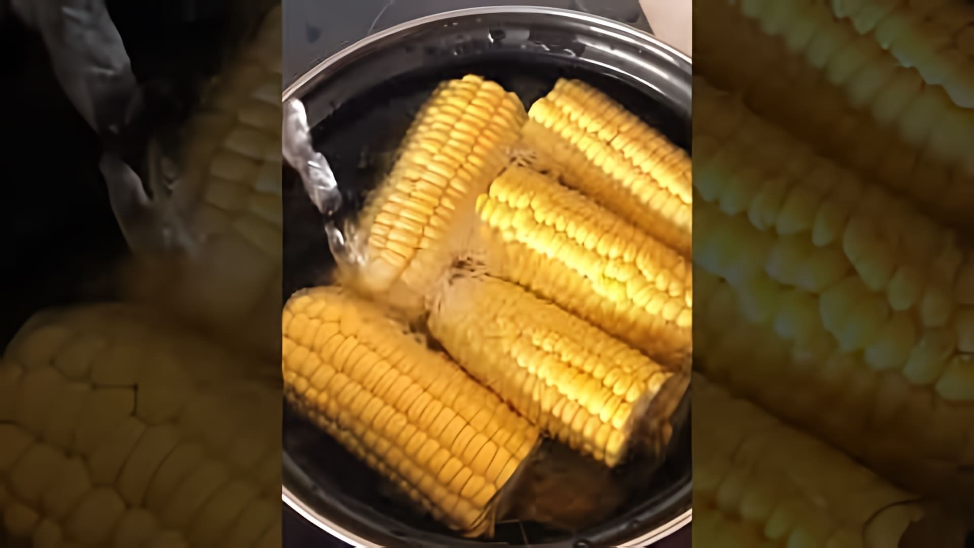 В этом видео рассказывается о том, как приготовить вкусную кукурузу