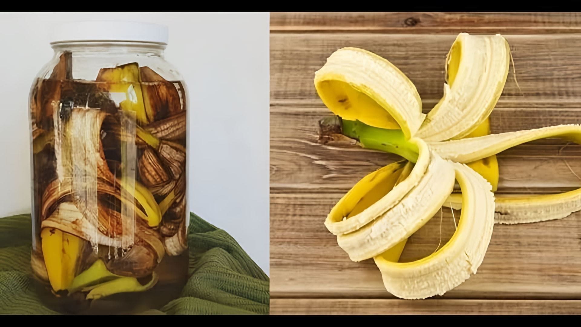 Как использовать банановую кожуру как удобрение. Удобрение из банановой кожуры. подкормка из банановой кожуры для комнатных растений. настой из банановой кожуры. удобрение из банановых корок.