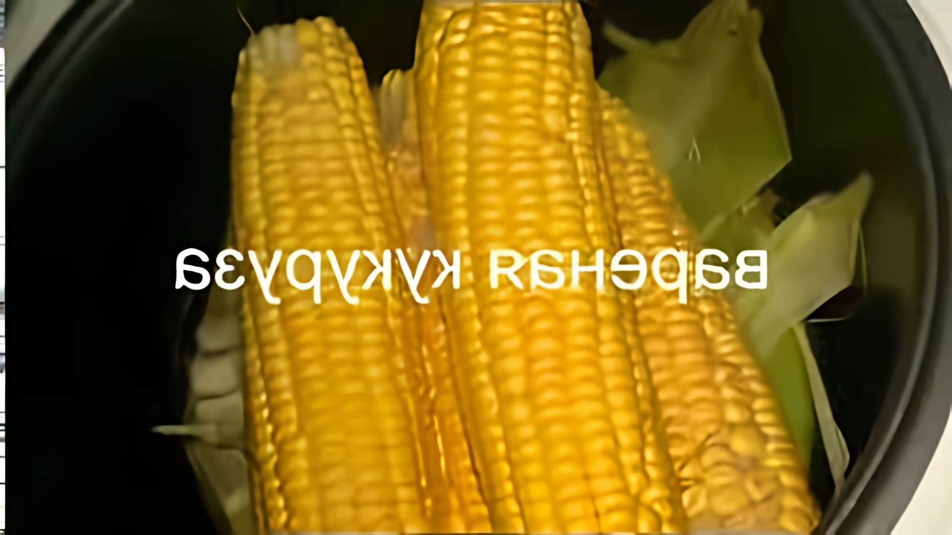 Тэн для варки кукурузы. Кукуруза в скороварке. Кукуруза в мультиварке. Паровой варки кукурузы. Кукуруза в пароварке.