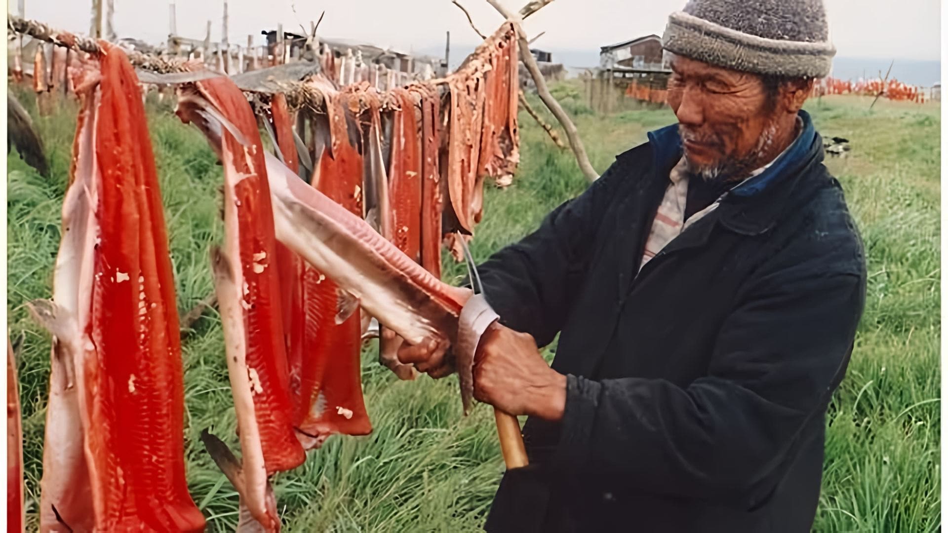 В этом видео демонстрируется процесс приготовления вяленой рыбы по сибирскому рецепту