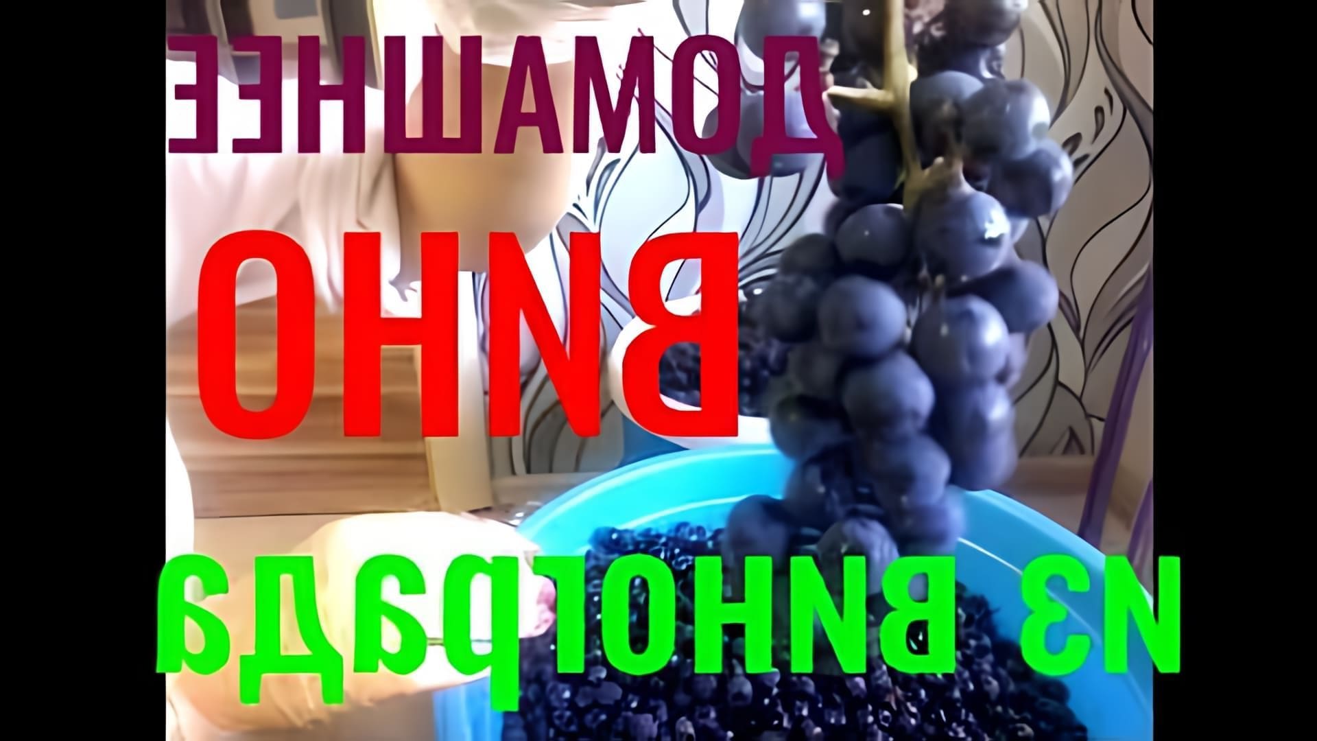 В данном видео рассказывается о процессе приготовления домашнего вина из кислых сортов винограда