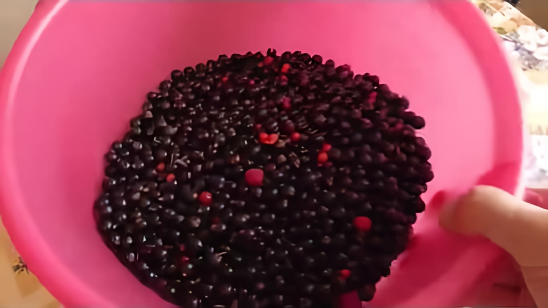 В этом видео показывается процесс приготовления вина из смородины