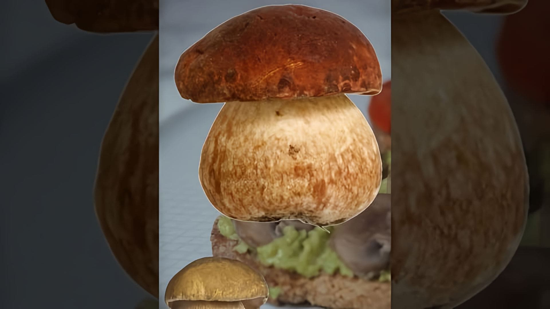 - Белые грибы легко спутать с желчными грибами