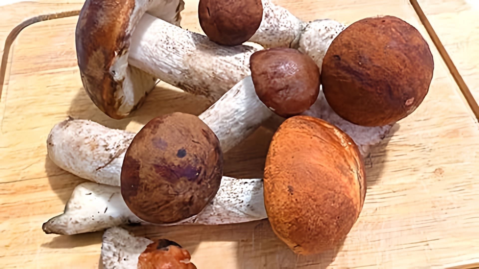 Грибы, сушащиеся на нитке на открытом воздухе