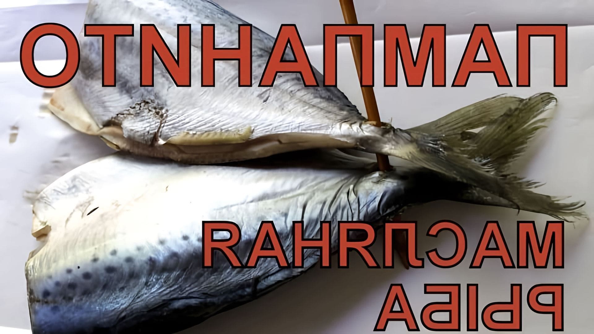 В данном видео рассказывается о масляной рыбе, которая может быть опасной для здоровья