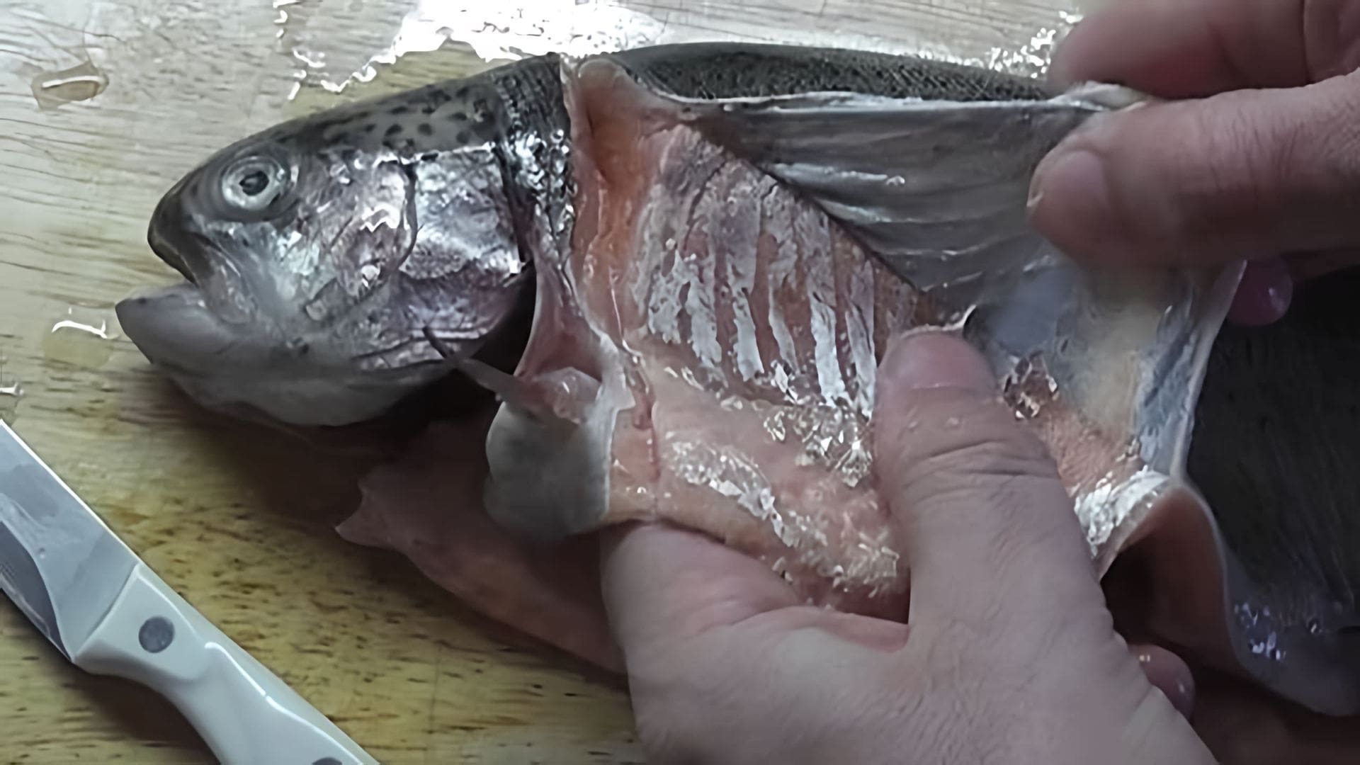 В этом видео-ролике будет показан процесс засолки красной рыбы - форели радужной
