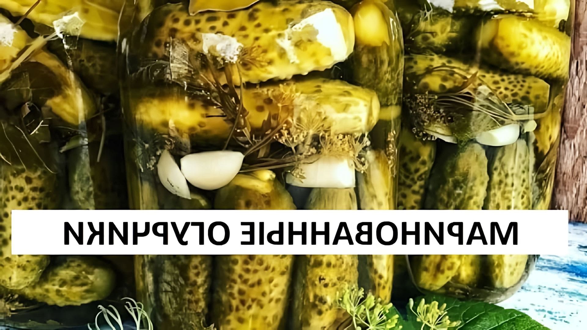 В этом видео Маша Васильева показывает, как приготовить маринованные огурцы с тархуном