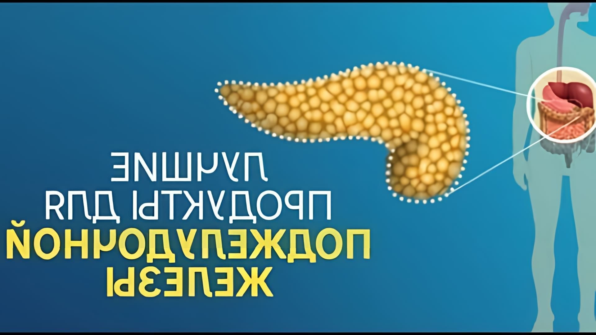 Полезные продукты для поджелудочной. Продукты которые любит поджелудочная железа. Продукты которые любит поджелудочная железа. 10 продуктов которые любит поджелудочная железа. Продукты которые любит поджелудочная железа.