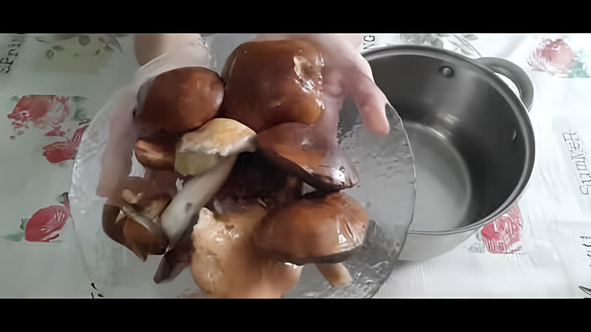 В этом видео демонстрируется процесс приготовления подливы из лесных грибов со сметанным соусом