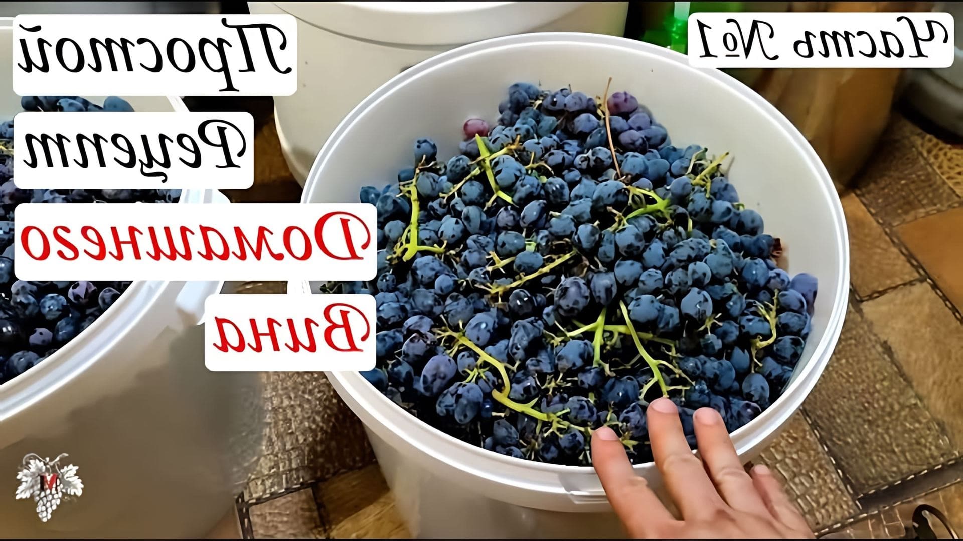 В этом видео-ролике будет показан рецепт домашнего вина для начинающих