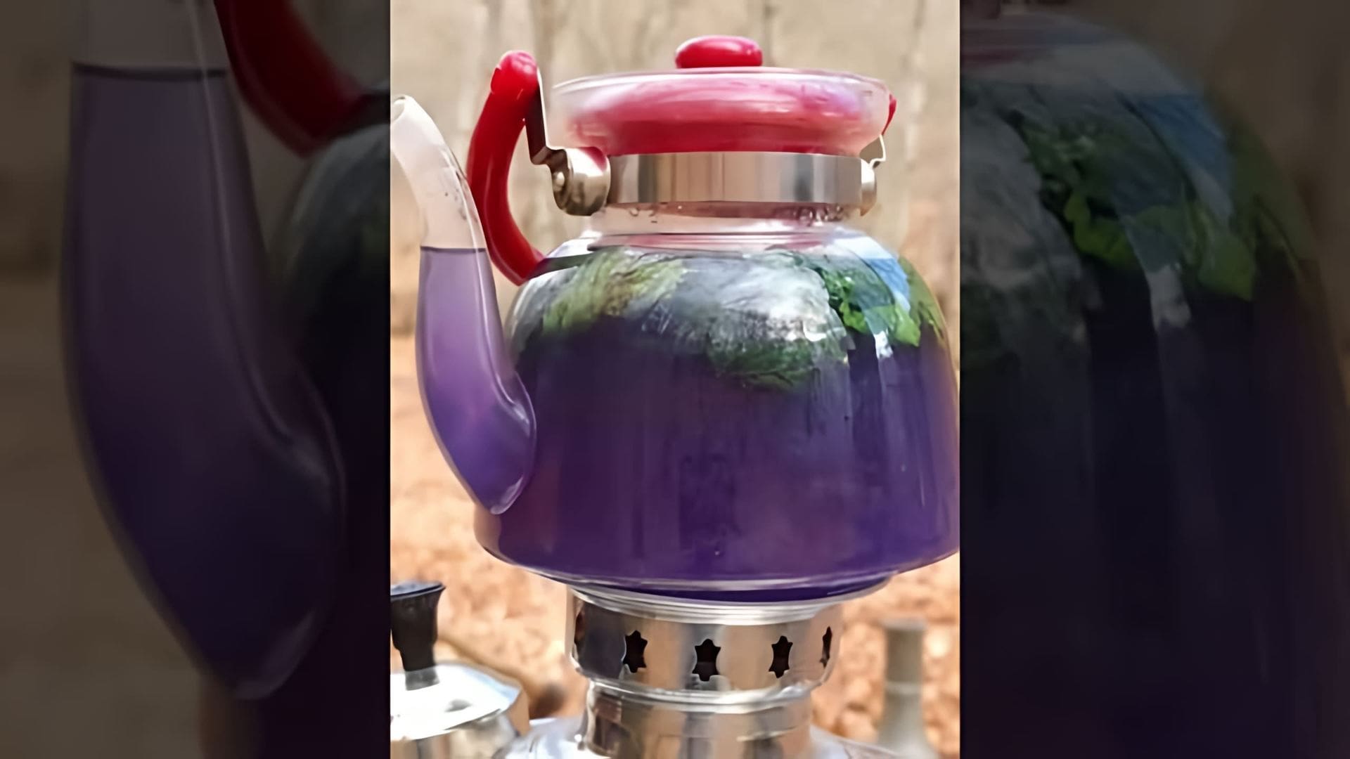 В этом видео-ролике демонстрируется процесс приготовления чая с базиликом и лимоном