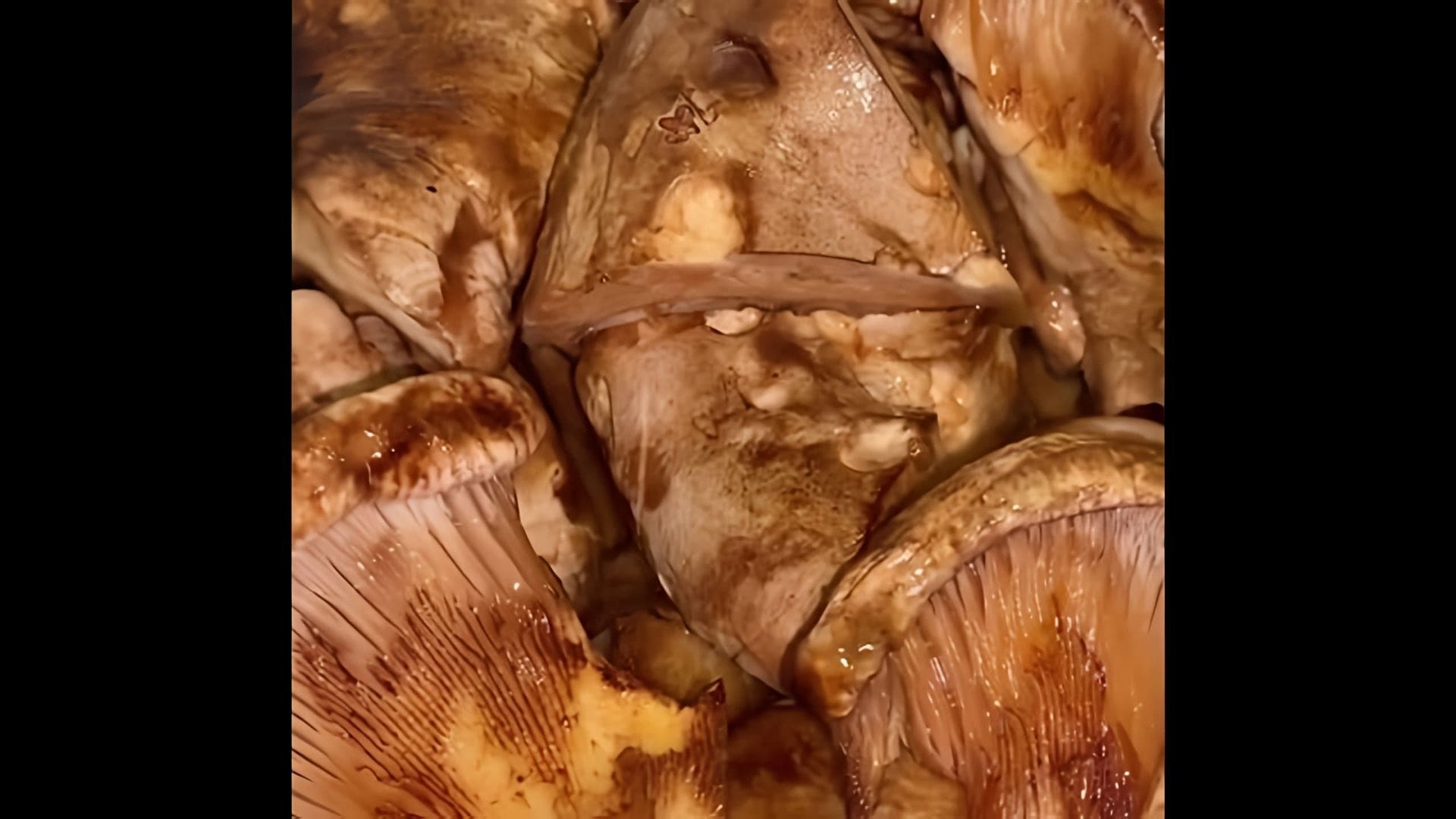 В этом видео-ролике рассказывается о том, как приготовить солёные грибы Свинушки