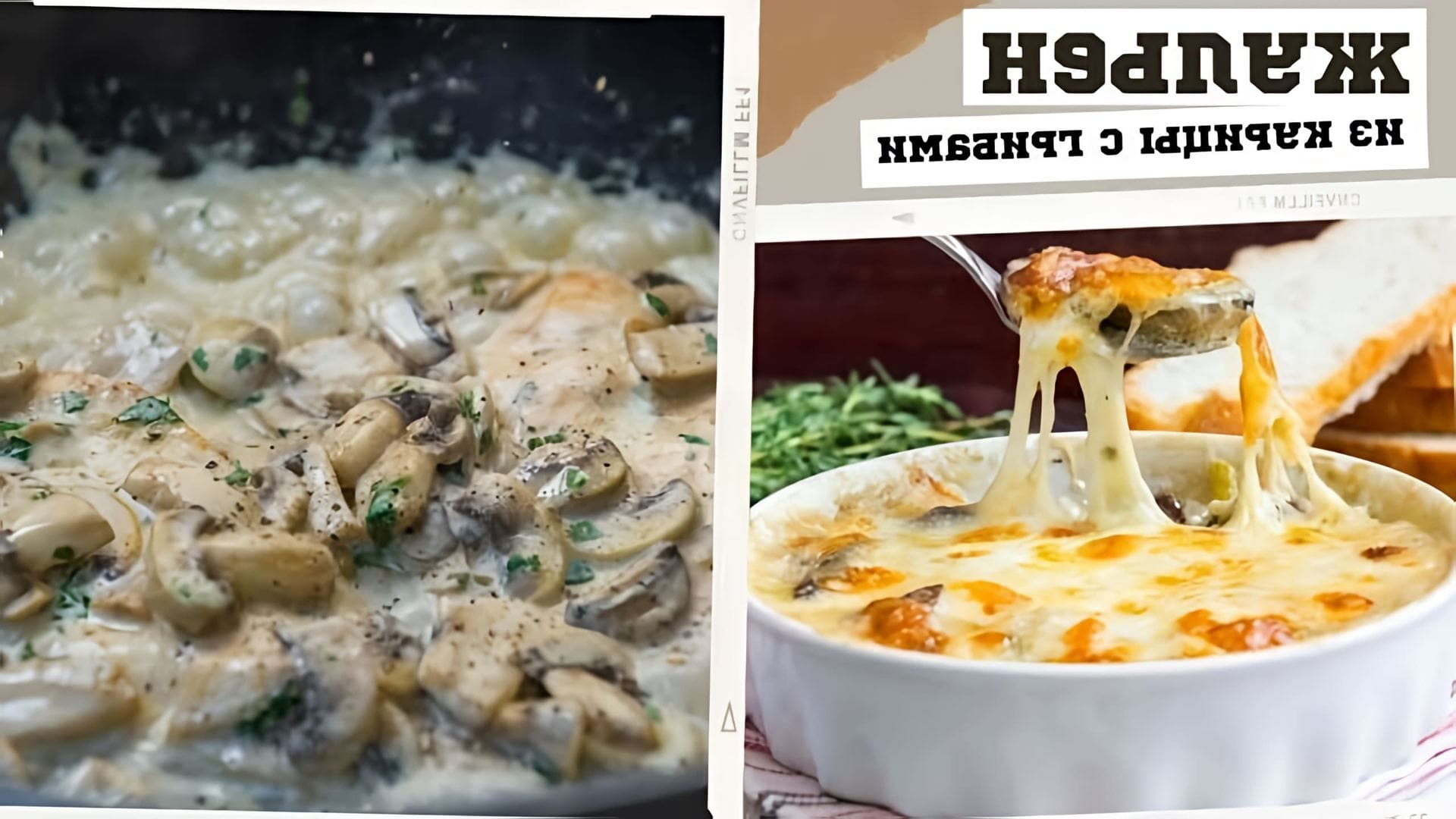 В этом видео-ролике будет показан классический рецепт приготовления жюльена из курицы и грибов в духовке