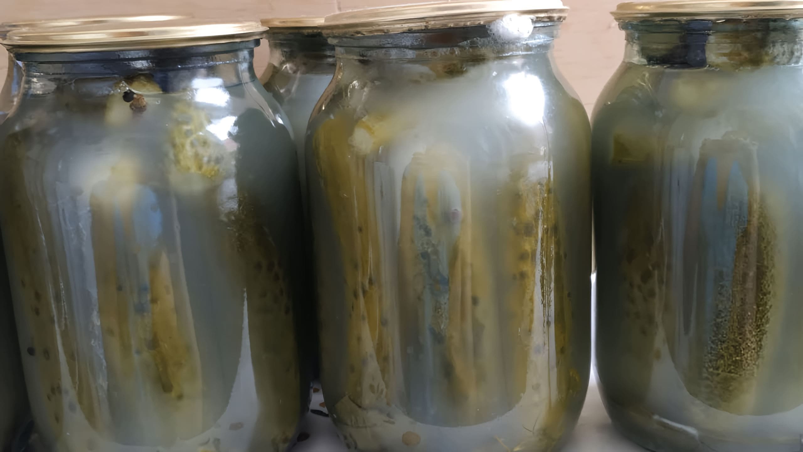Почему рассол банки с огурцами мутнеет. Банка с огурцами. Соленые огурцы помутнели. Почему рассол банки с огурцами мутнеет. Протухшие огурцы в банке.