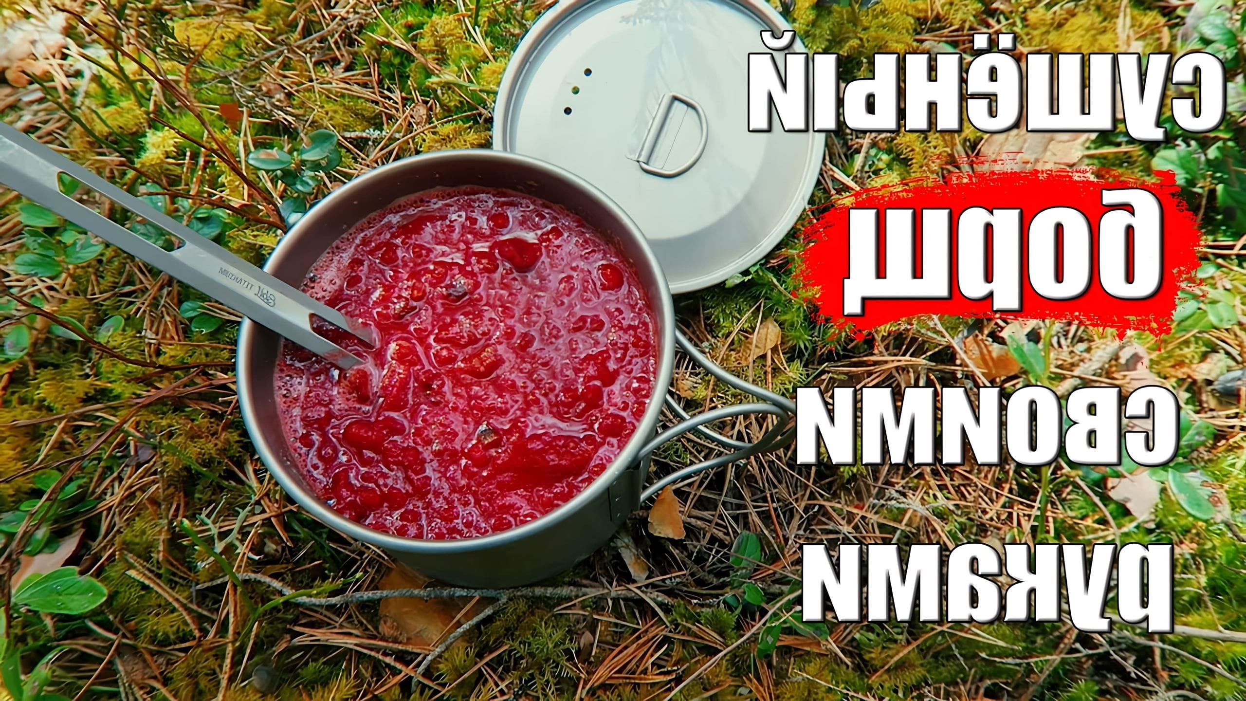 Сушеные овощи. Сушим борщ. Сушеный борщ. Набор для борща овощи сушеные. Сушим борщ.