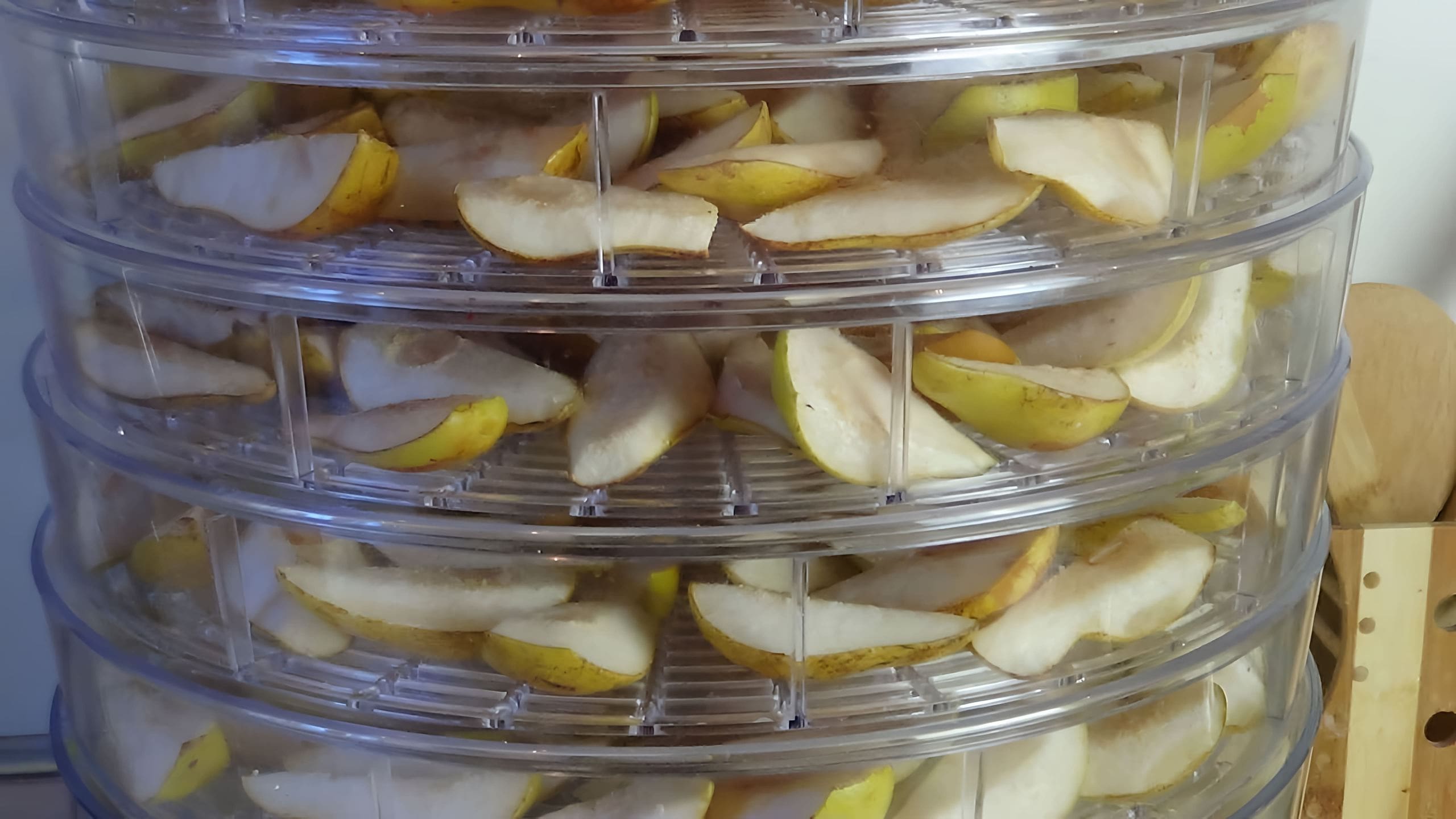 Груши в электросушилке. Груши в электросушилке температура и время. Груши вяленые на электросушилке. Сушка груш в электросушилке. Сушка груш в электросушилке.