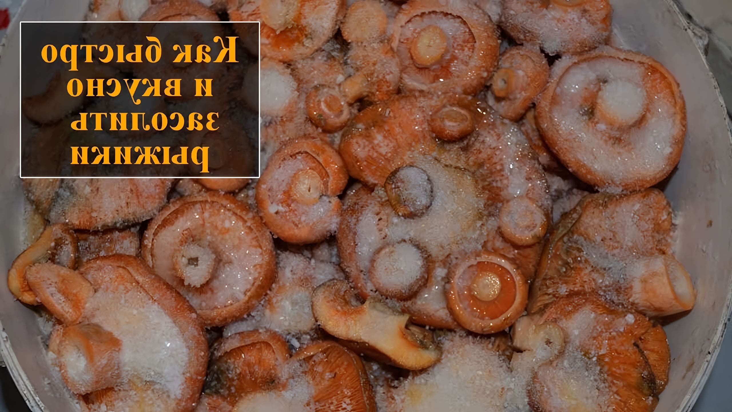 Как солить рыжики на зиму видео. Как солить рыжики на зиму видео. Грибы рыжики маринованные. Рыжики соленые. Волнушки грибы фото и описание.