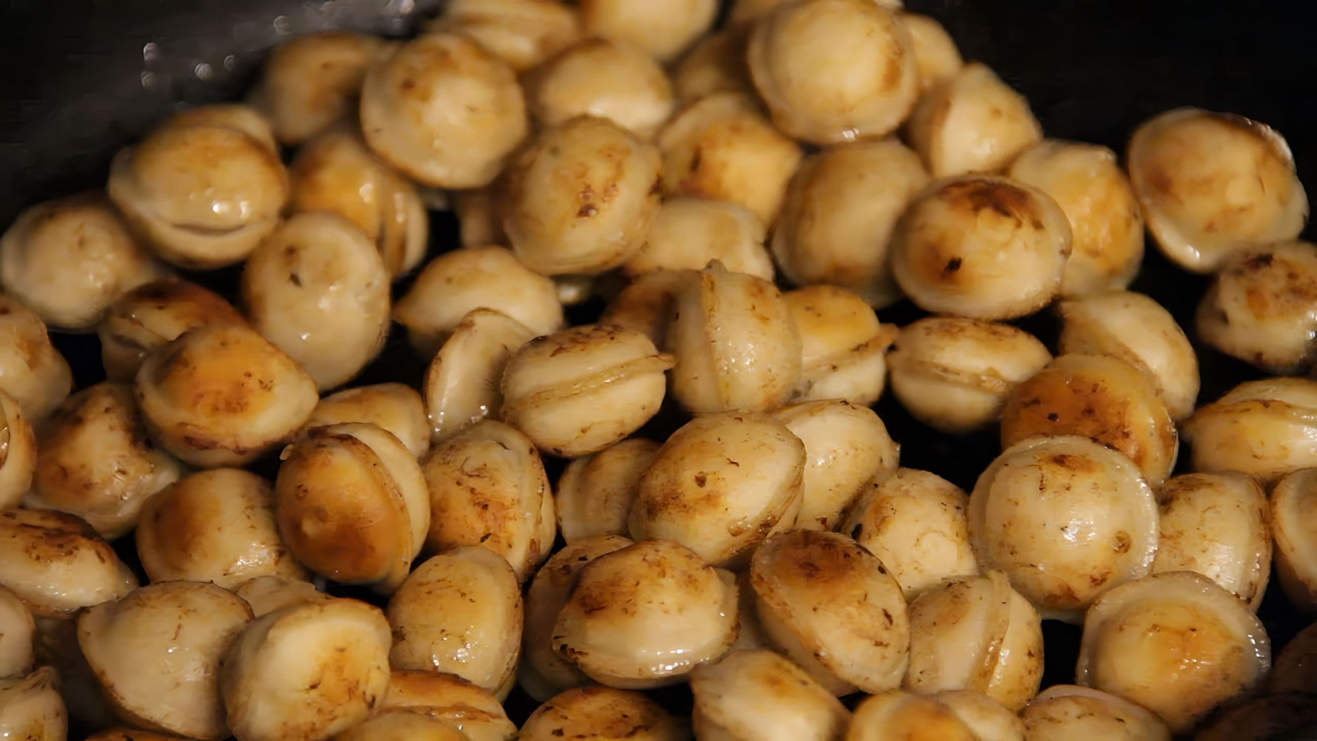 Жареные пельмени со сметаной. Как жарить пельмешки. Пельмени для микроволновки. Как жарить пельмешки. Жареные пельмени с сыром и сметаной.