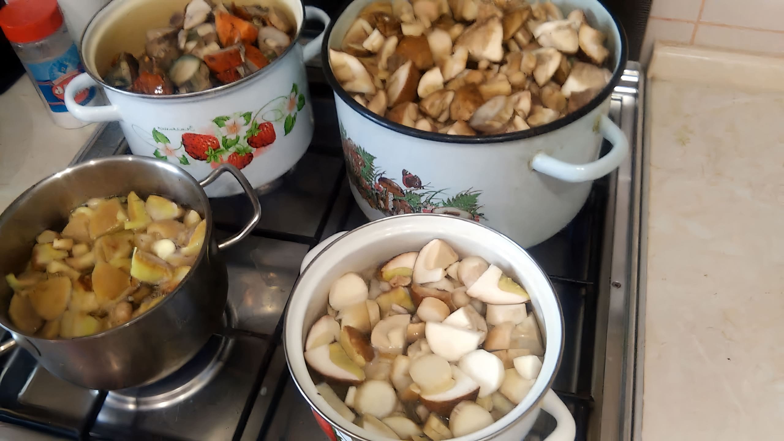 Заморозка боровиков свежих. Грибы satisfactory. Заморозка вешенки. Мыть ли грибы перед заморозкой на зиму. Съедобные грибы.