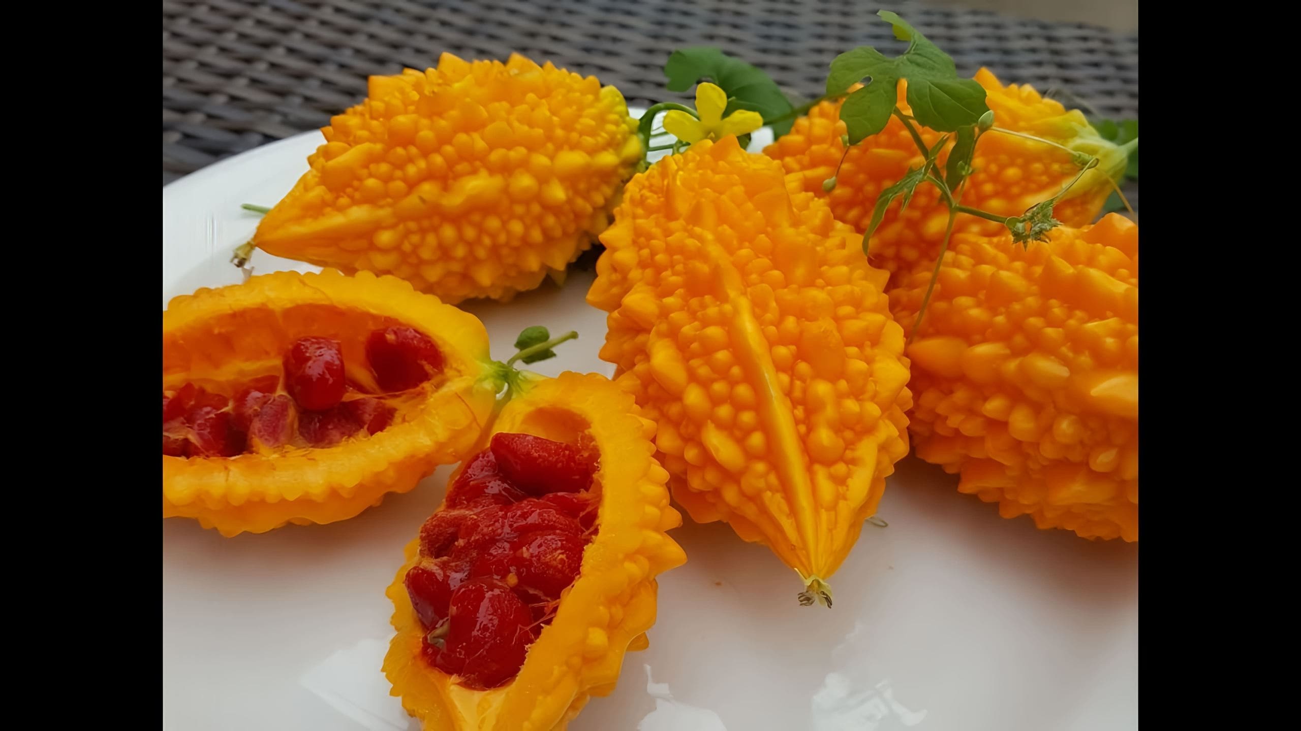 Момордика найя. Фрукт мамандрыка. Момордика кохинхинская. Момордика харанция плод. Фрукт мамандрыка.