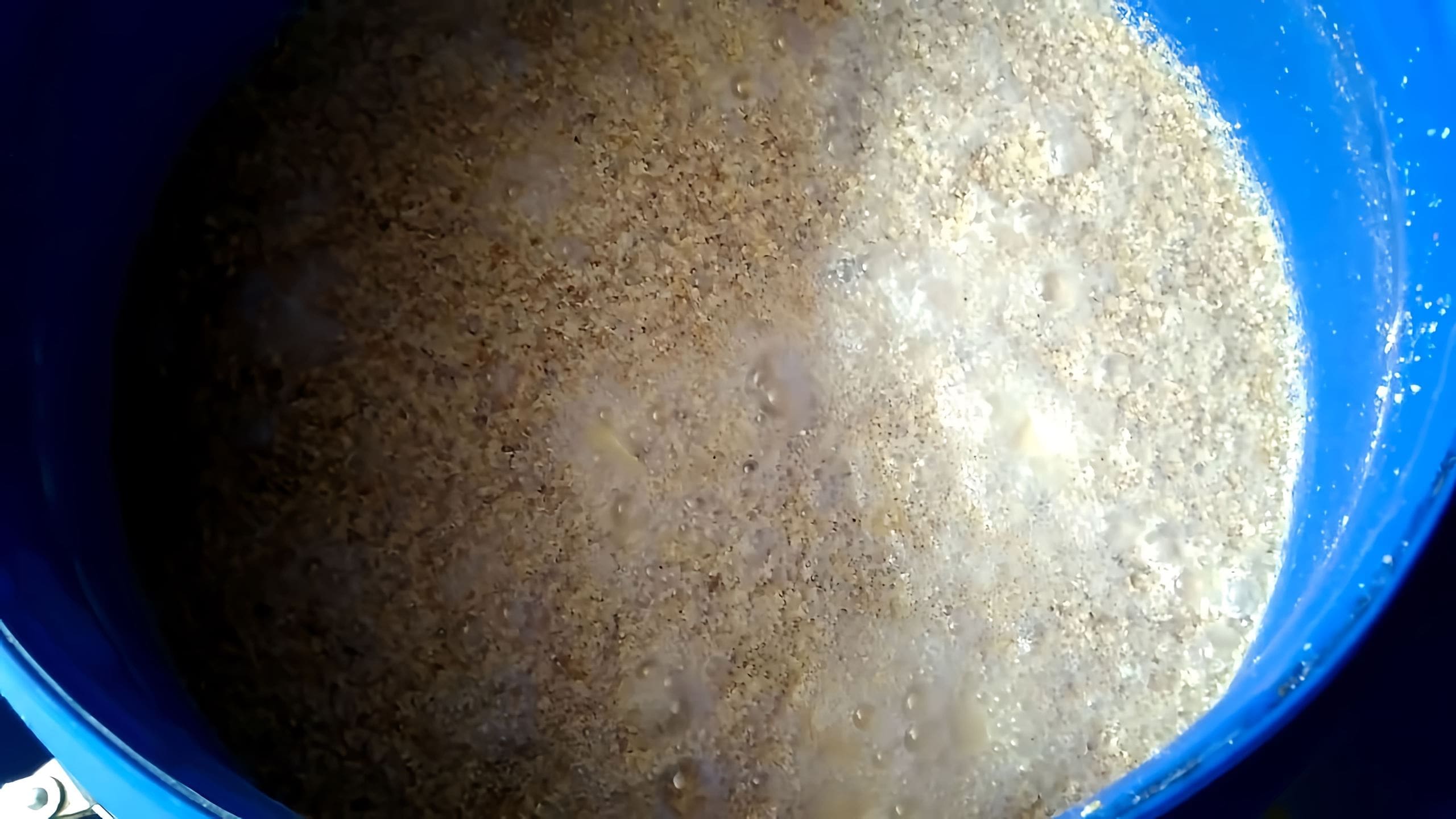 Самогон из пшеницы. Скисание зерновой браги. Брага из пшеницы для самогона. Кастрюля для приготовления зерновой браги. Брага на пшенице для самогона.