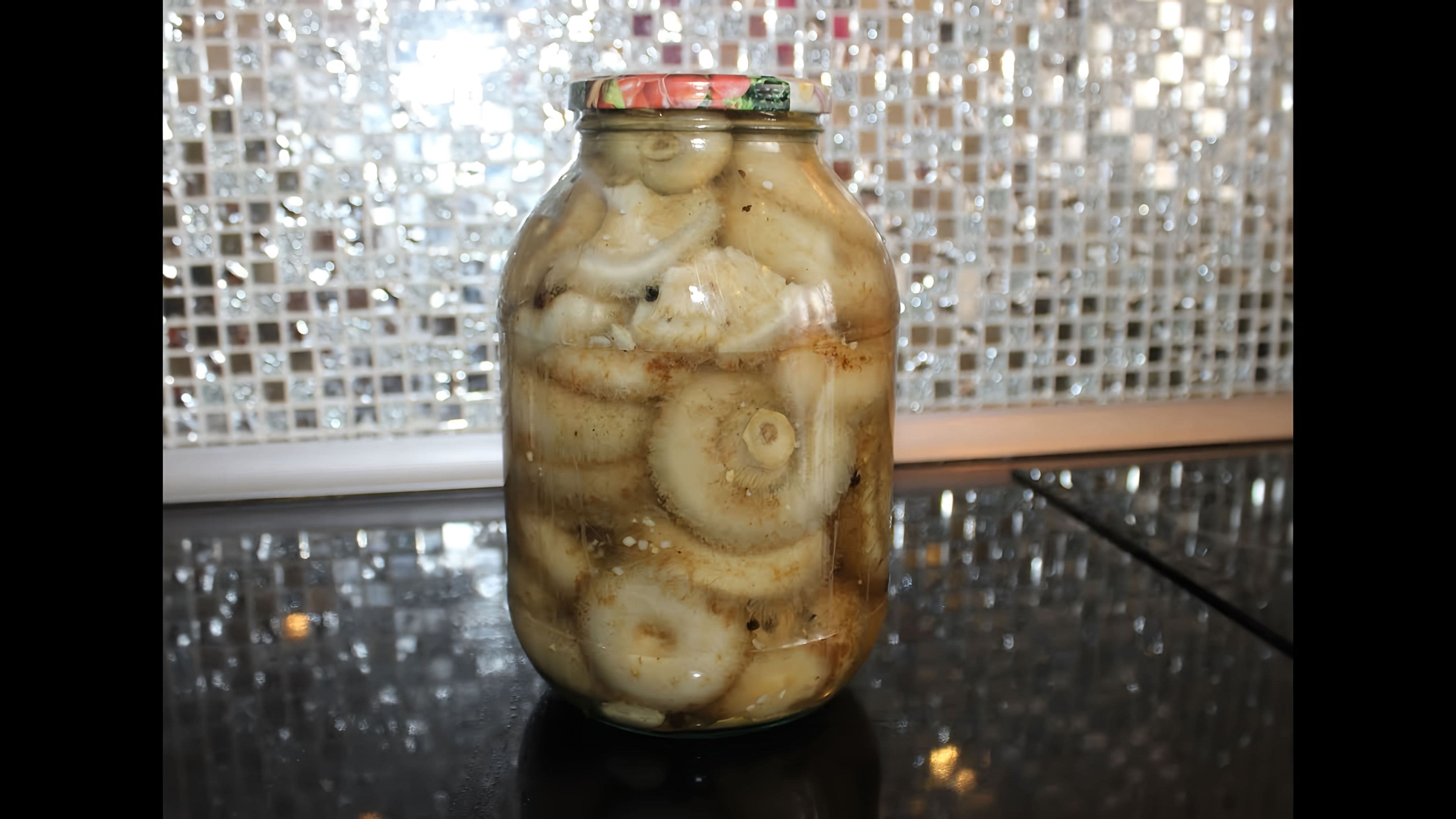 Маринад под грузди. Маринад для груздей на зиму в банках. Маринад для груздей. Рассол для груздей.